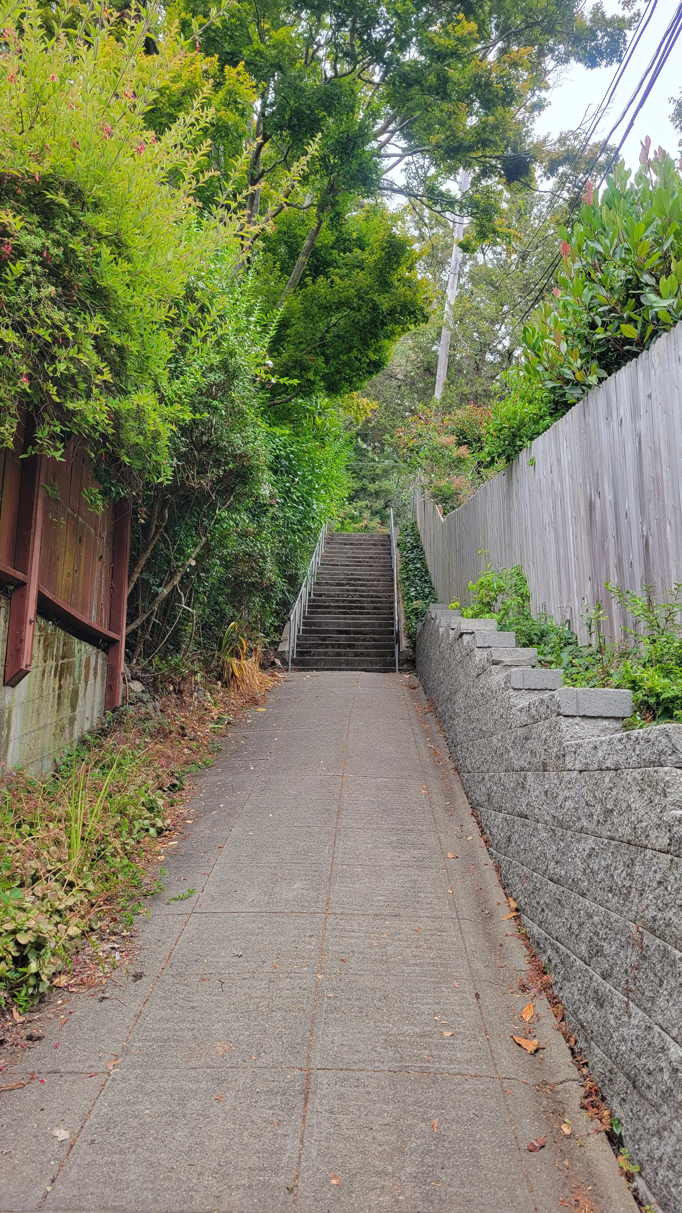 Easter Way Middle 4.jpg