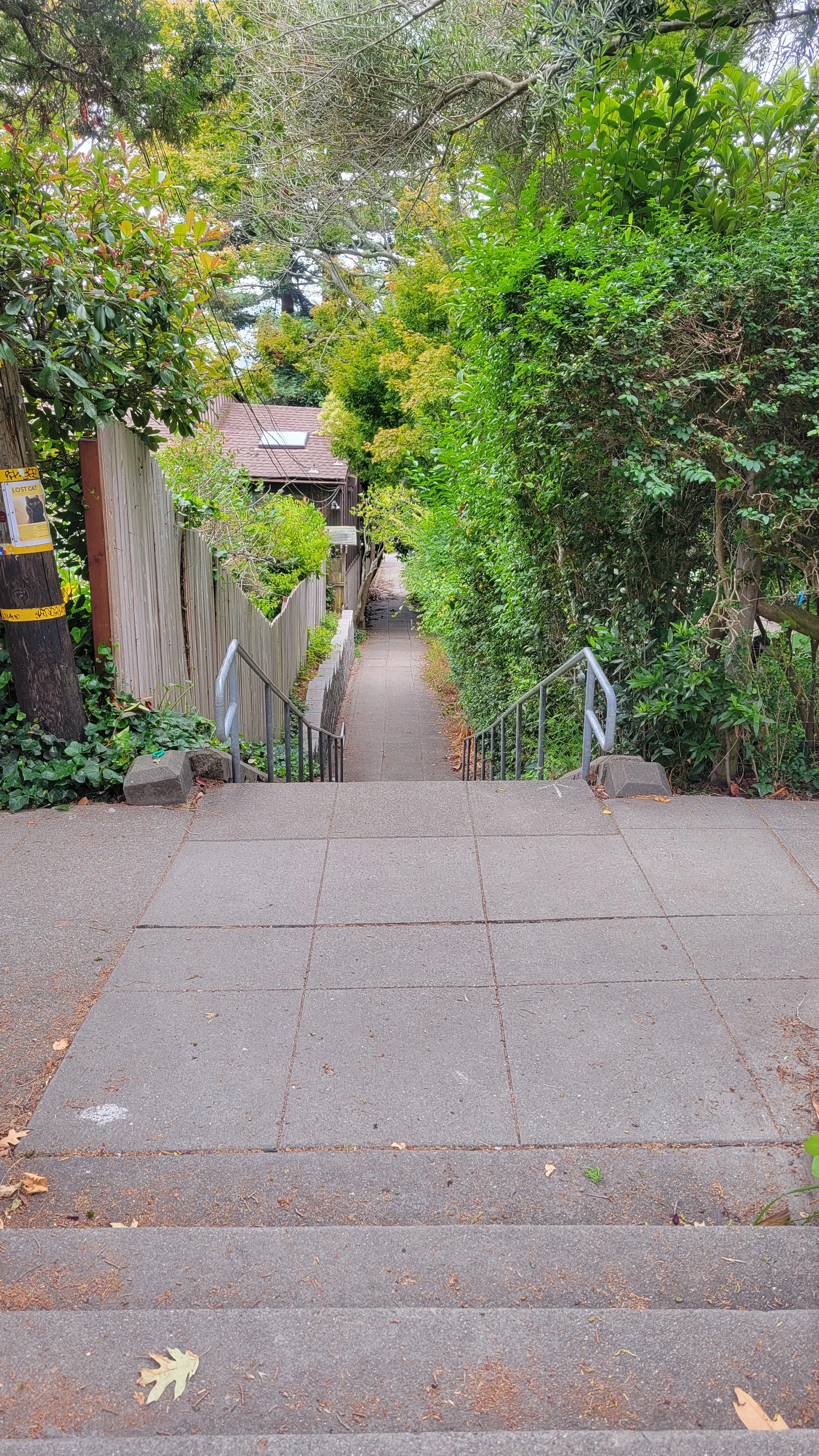 Easter Way Middle 5.jpg