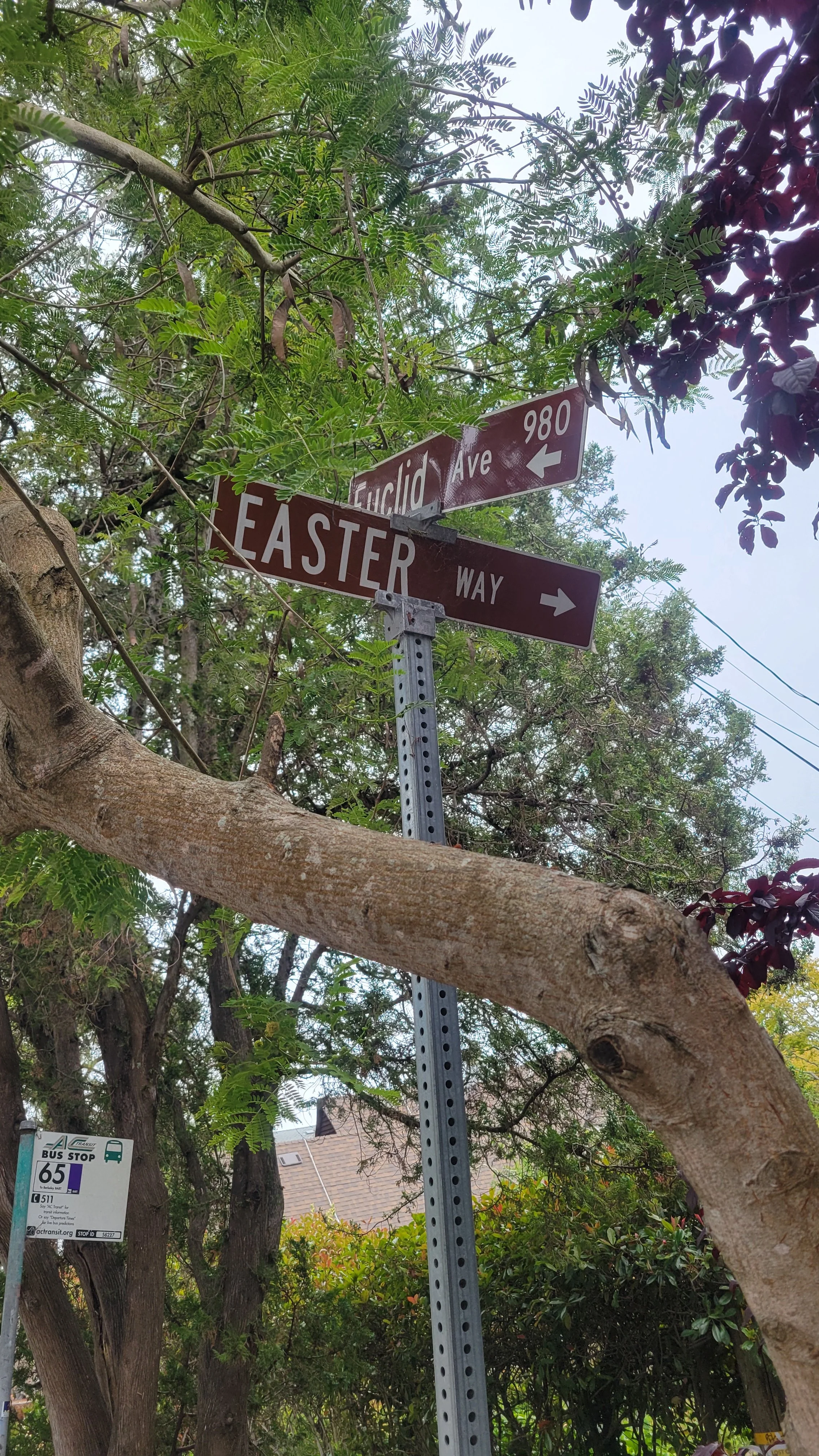 Easter Way Middle 6.jpg