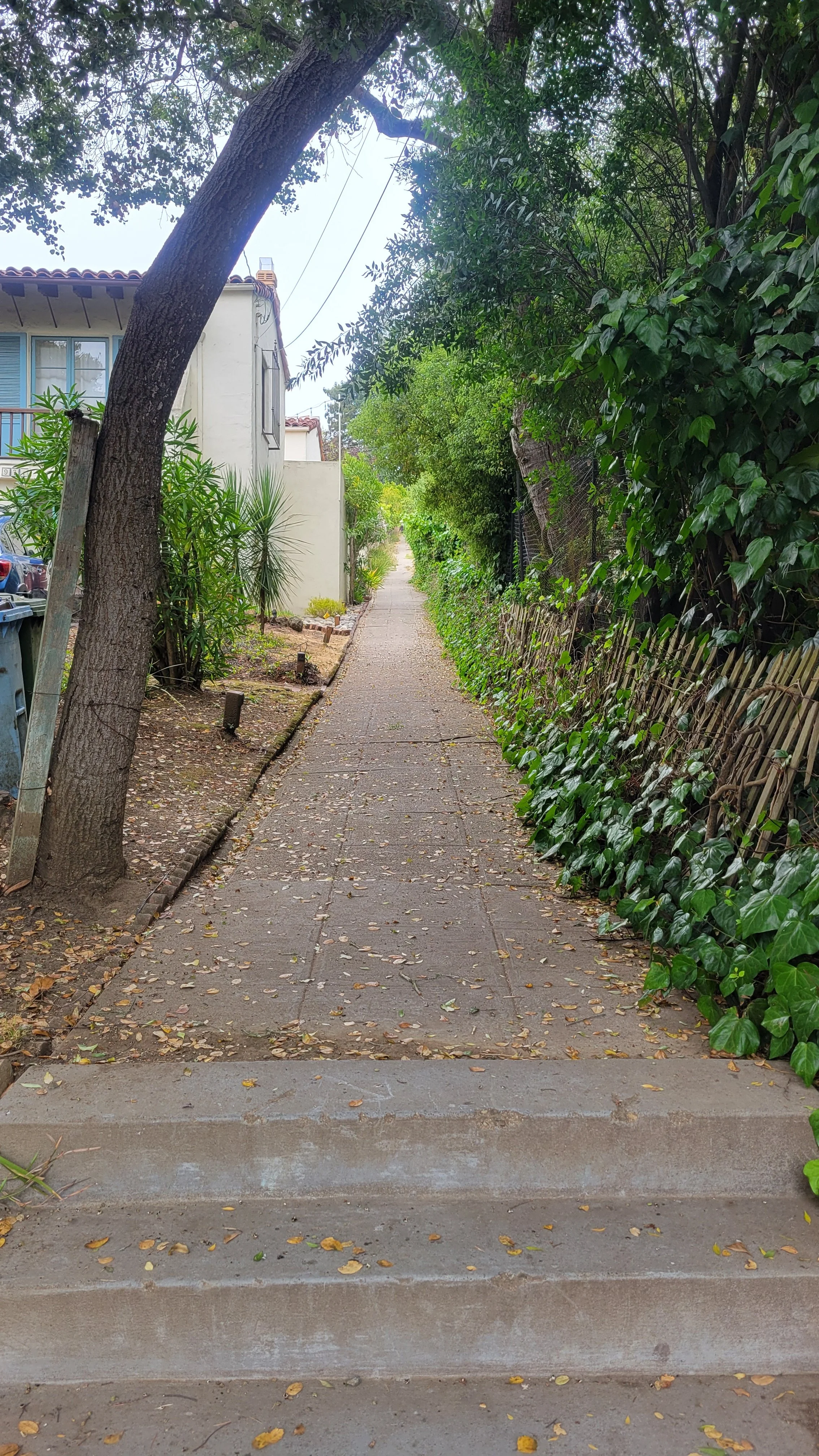 Easter Way Upper 2.jpg