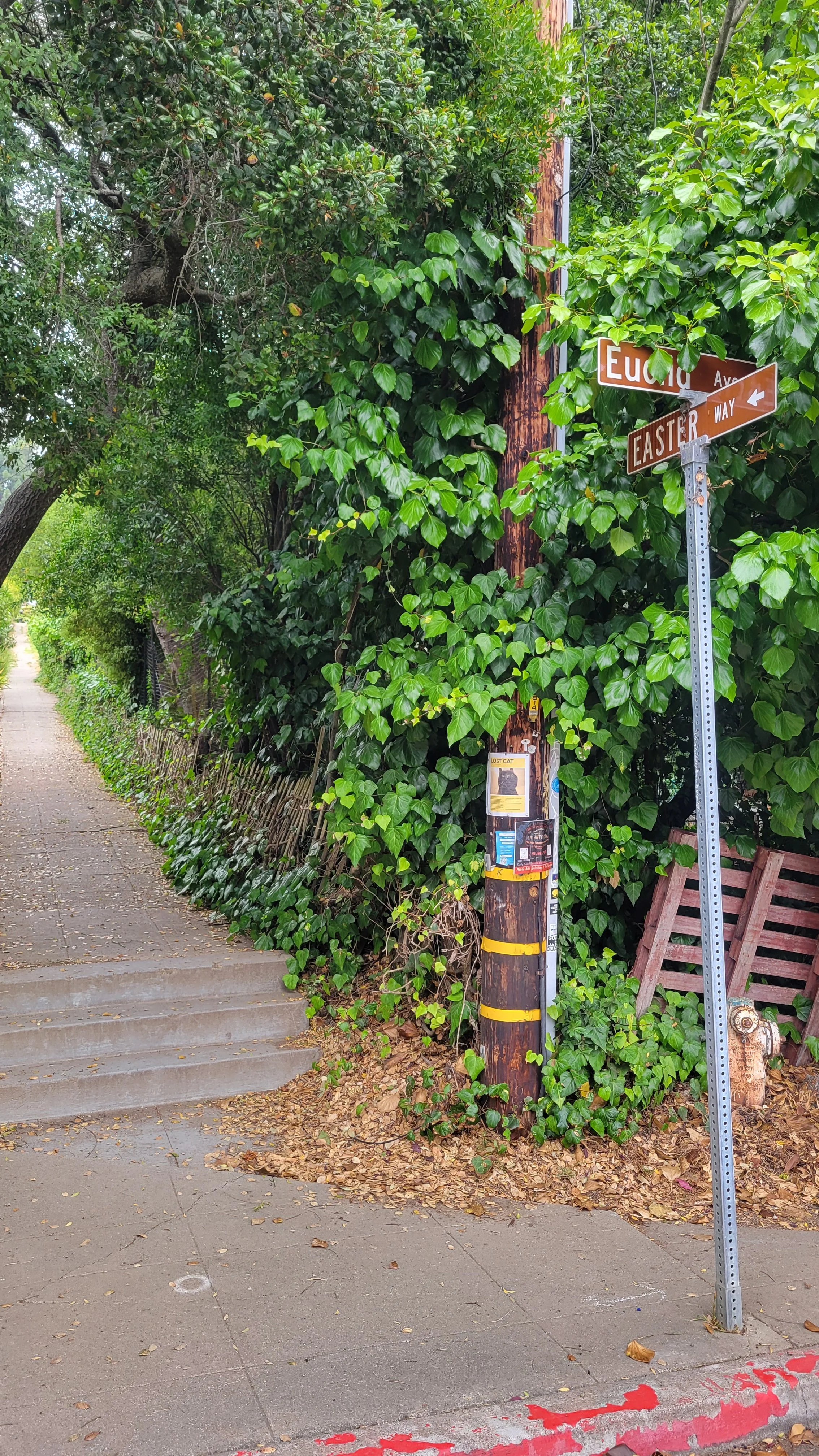 Easter Way Upper 1.jpg