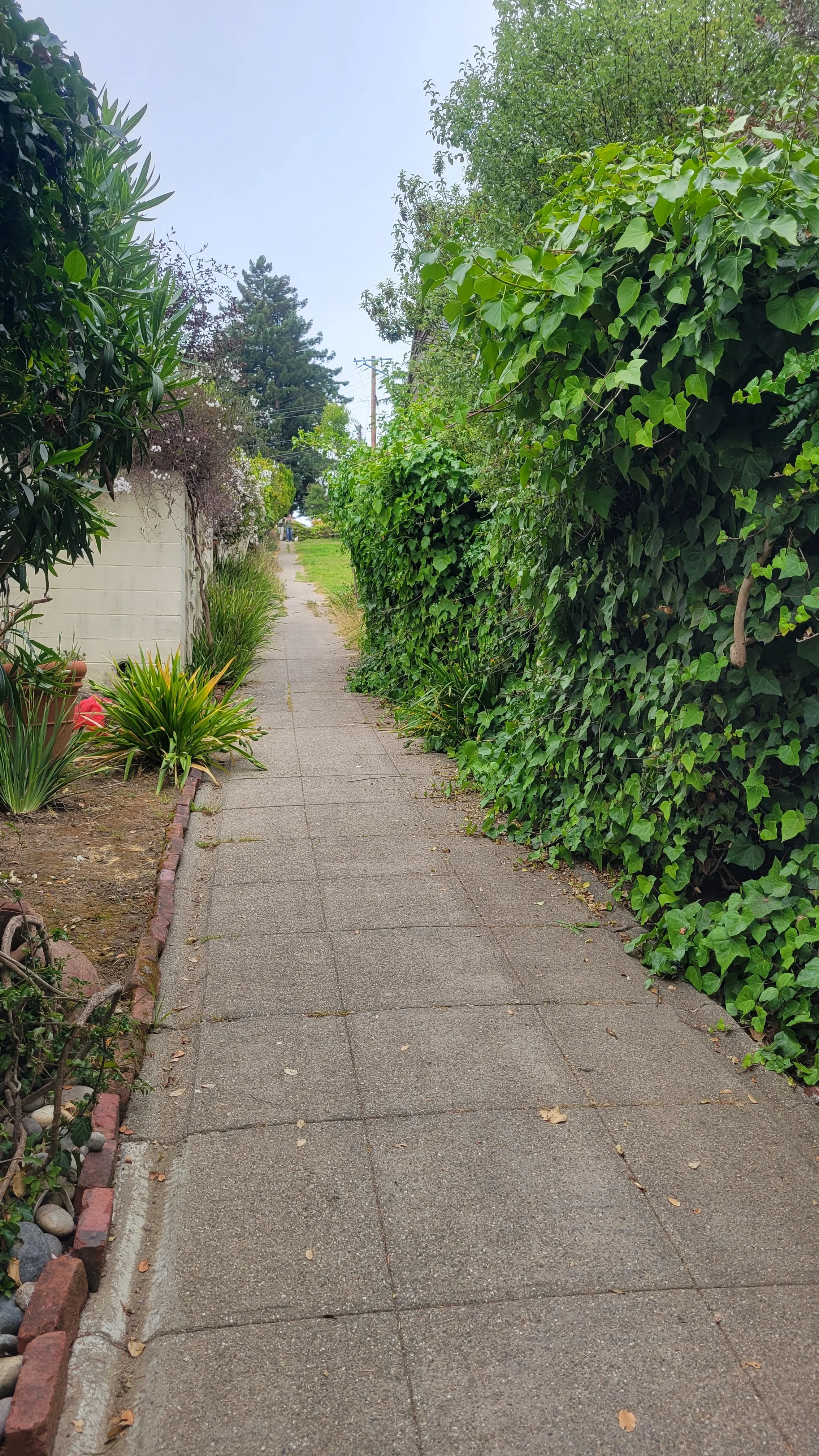 Easter Way Upper 3.jpg