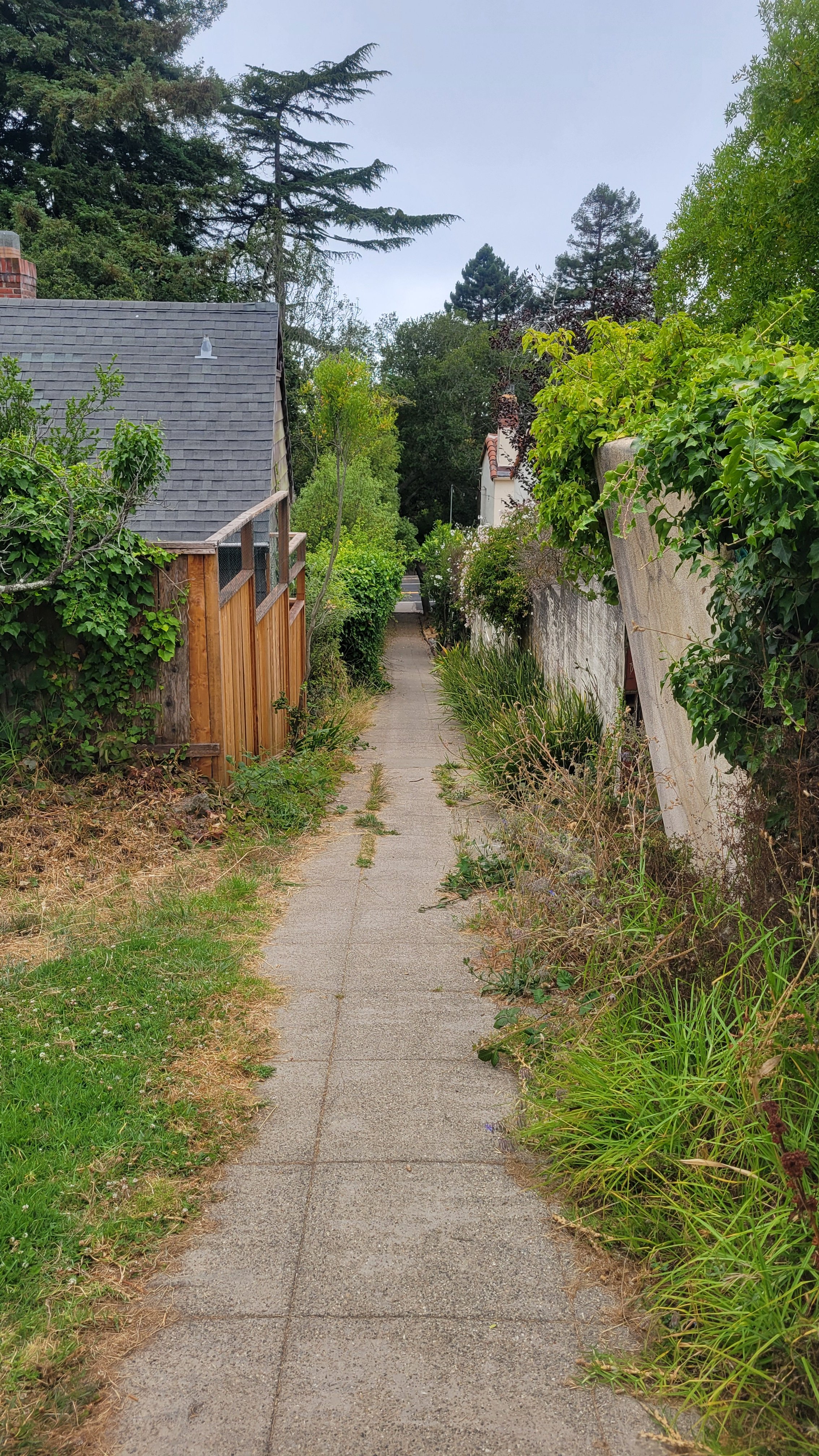 Easter Way Upper 4.jpg