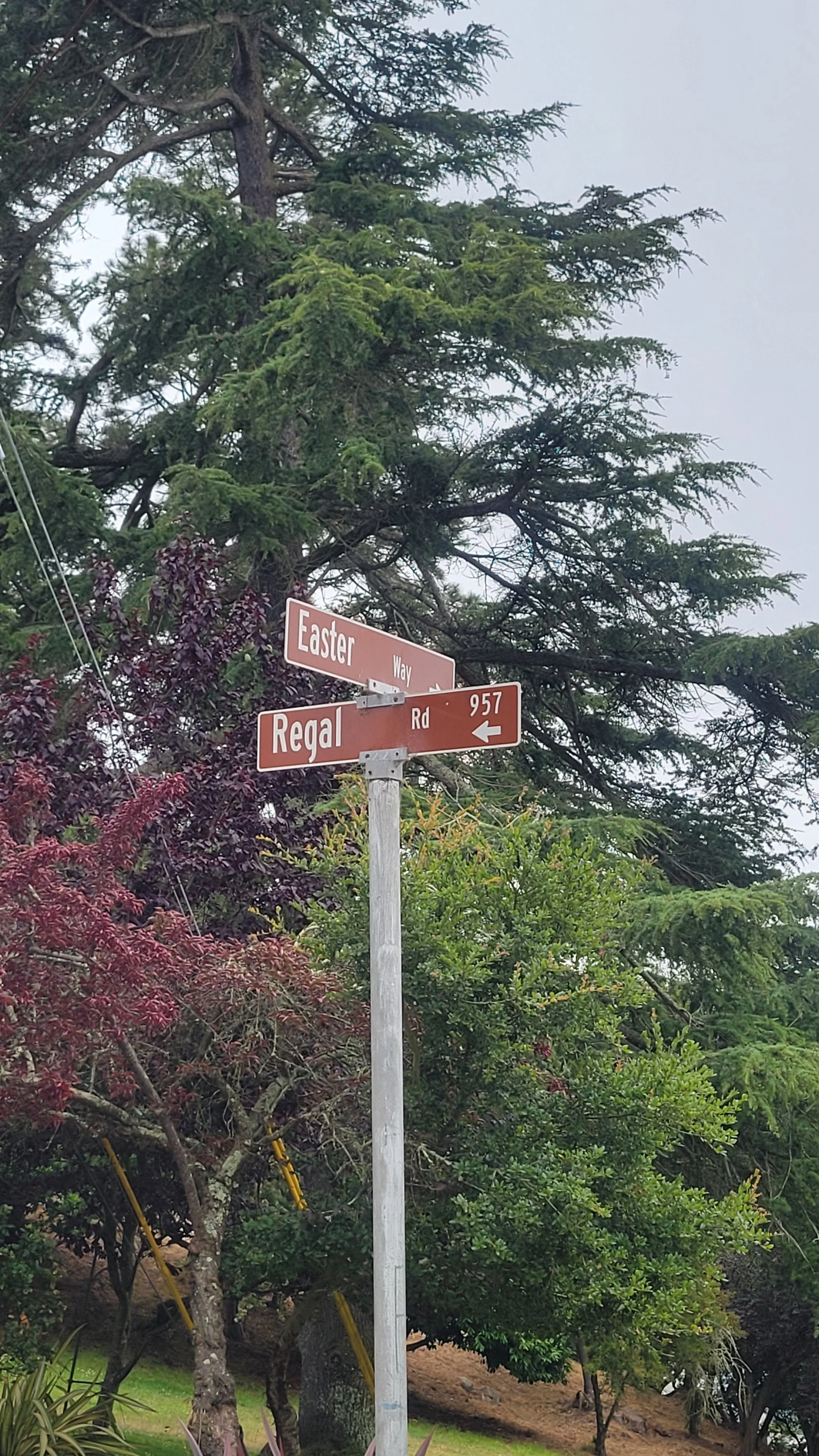 Easter Way Upper 7.jpg