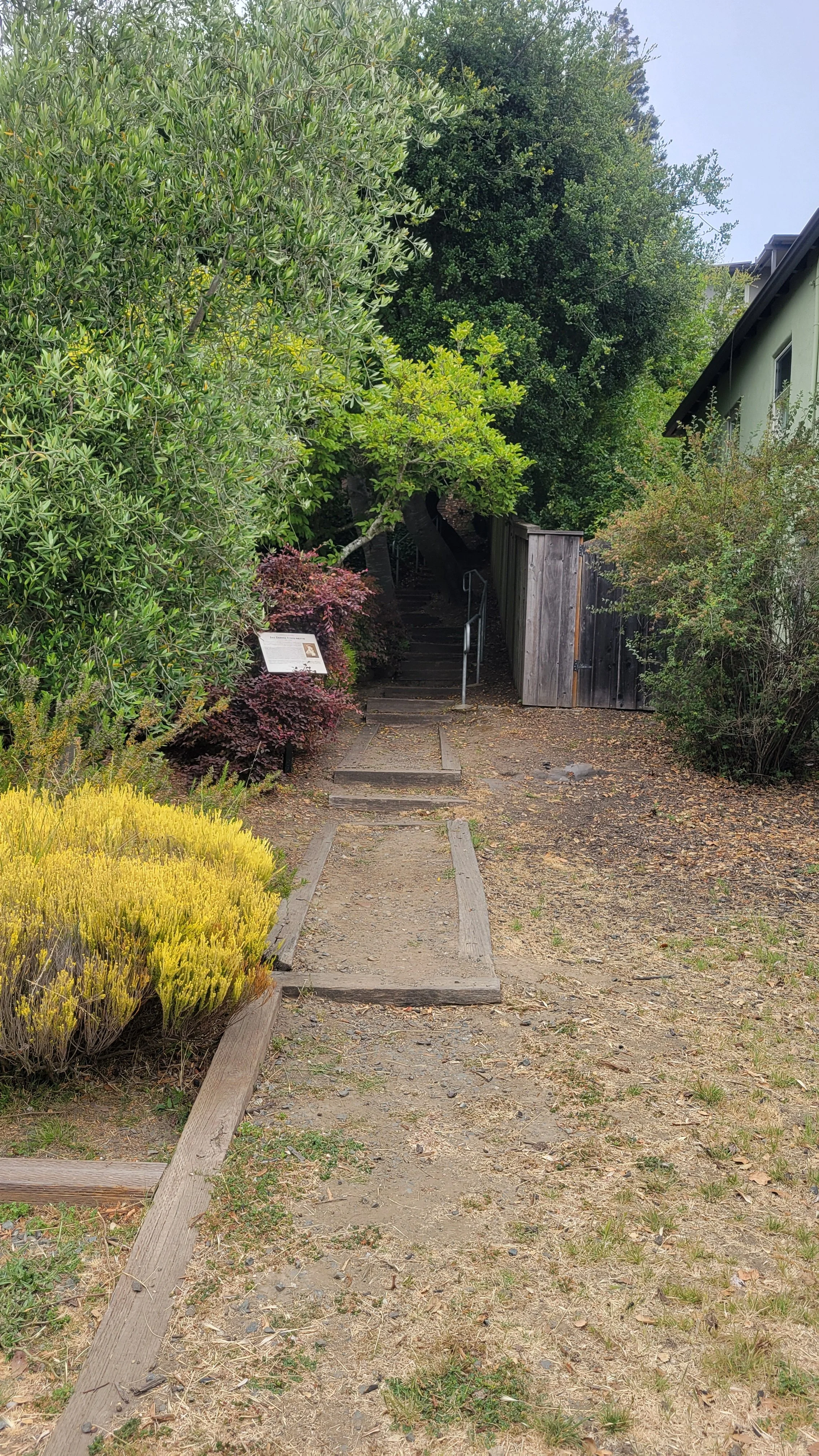 Ina Coolbrith Path 1.jpg