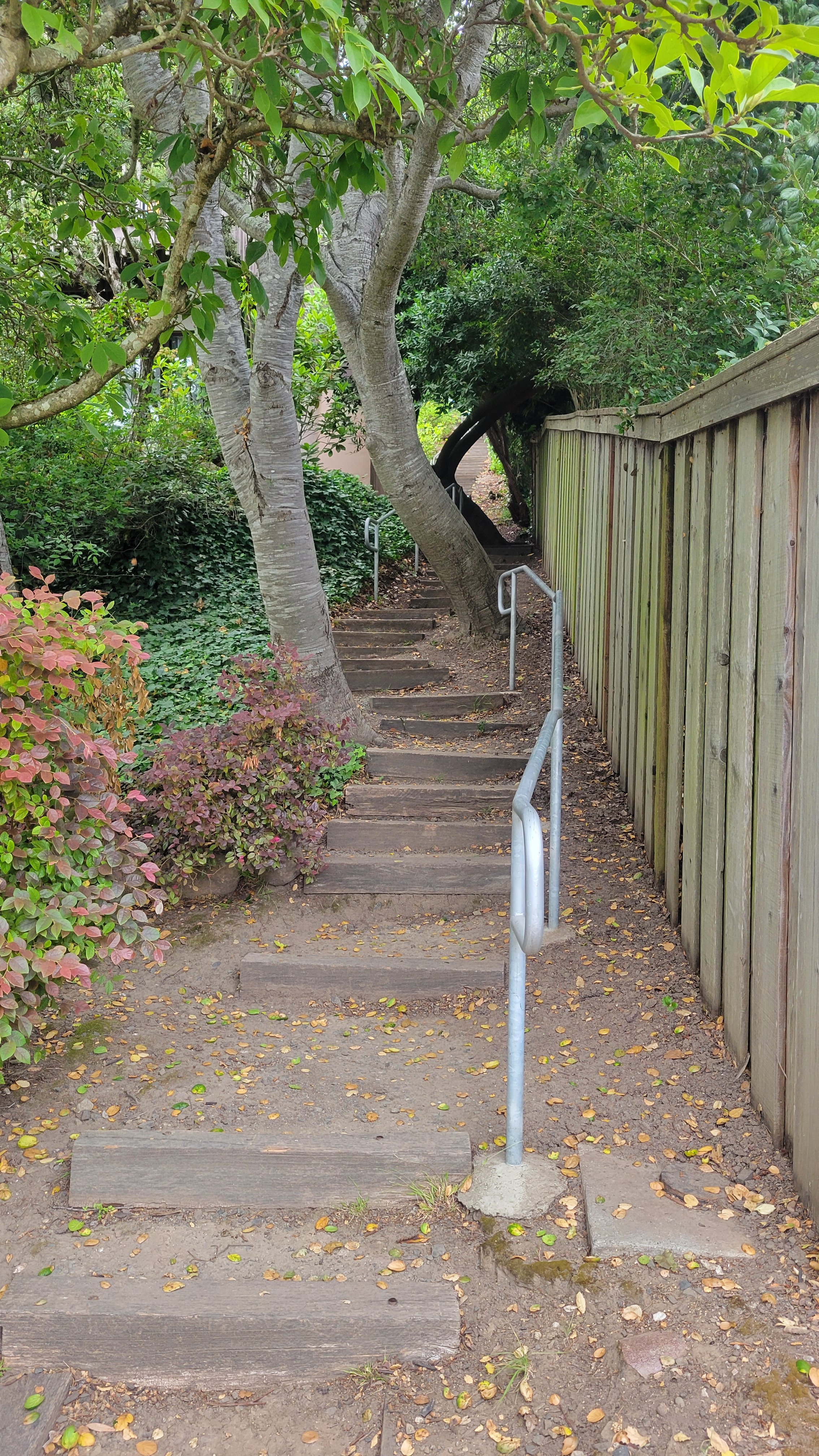 Ina Coolbrith Path 3.jpg