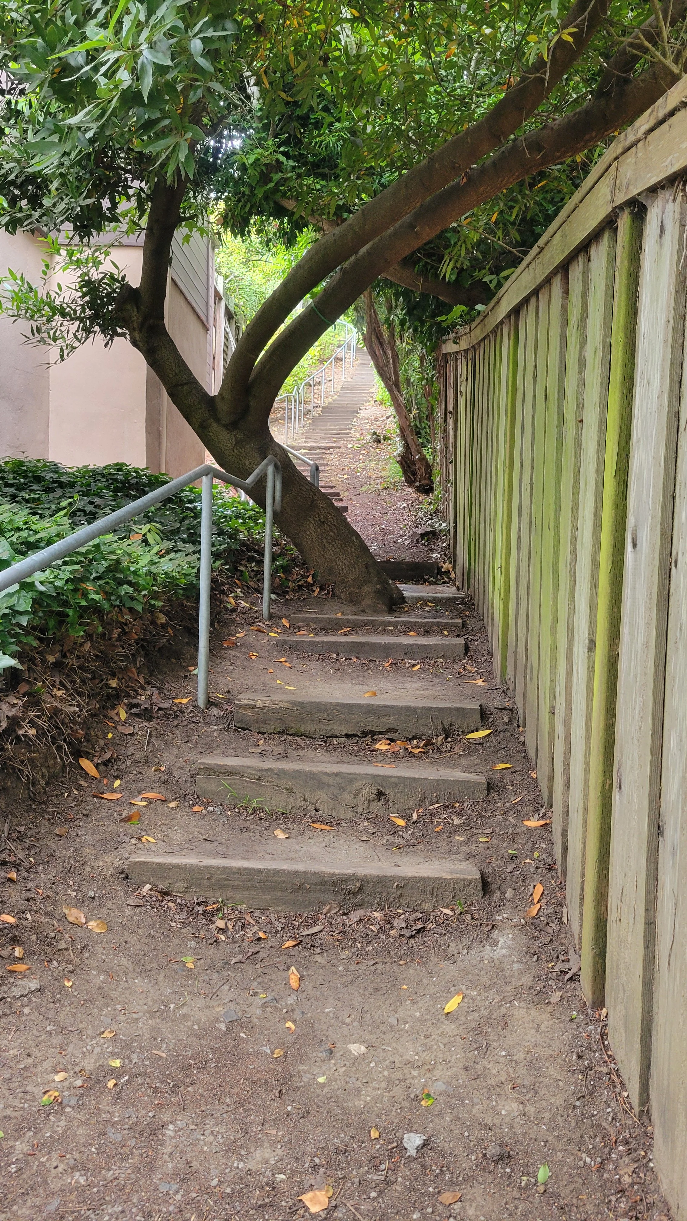 Ina Coolbrith Path 4.jpg