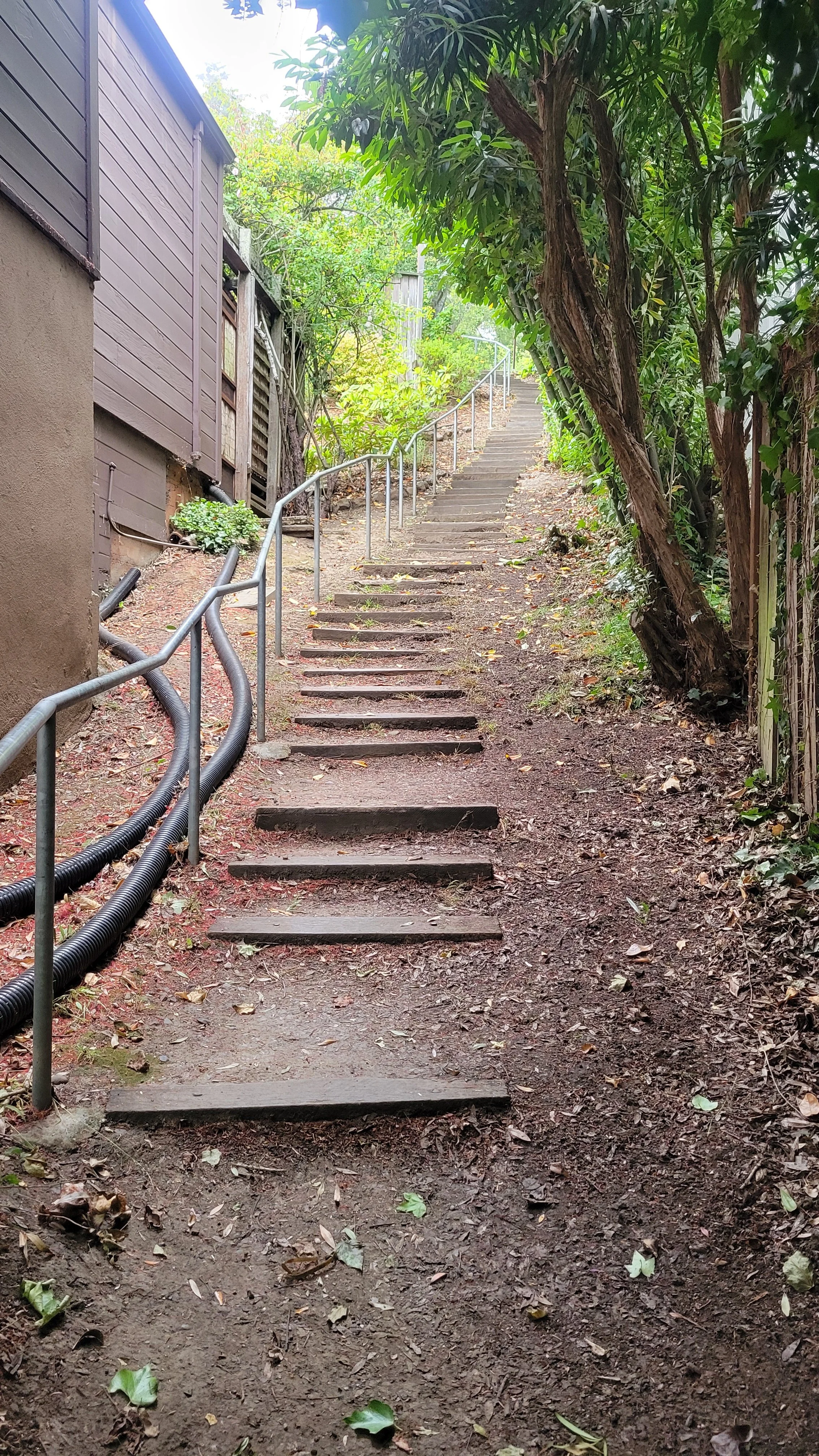 Ina Coolbrith Path 5.jpg