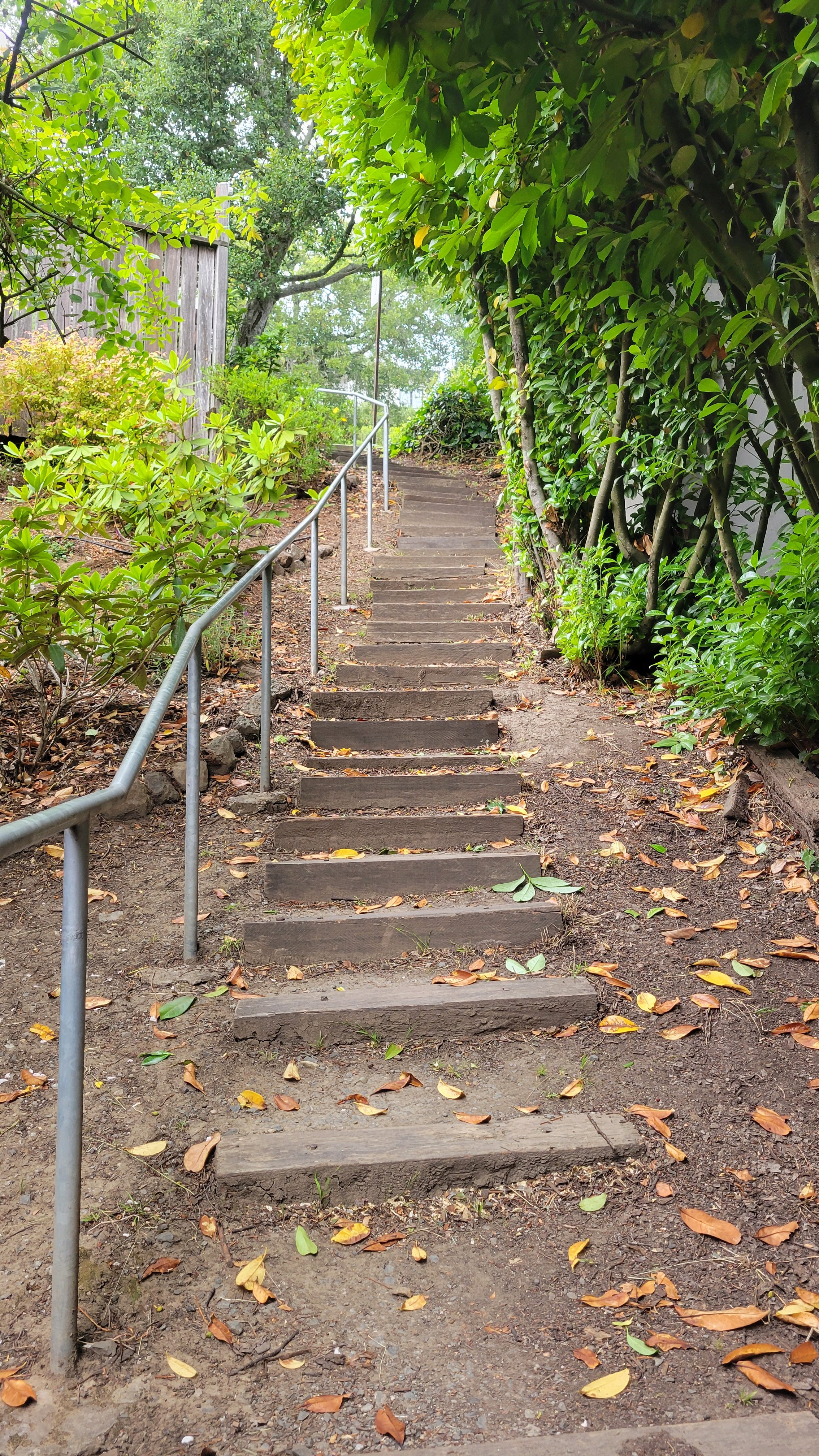 Ina Coolbrith Path 6.jpg