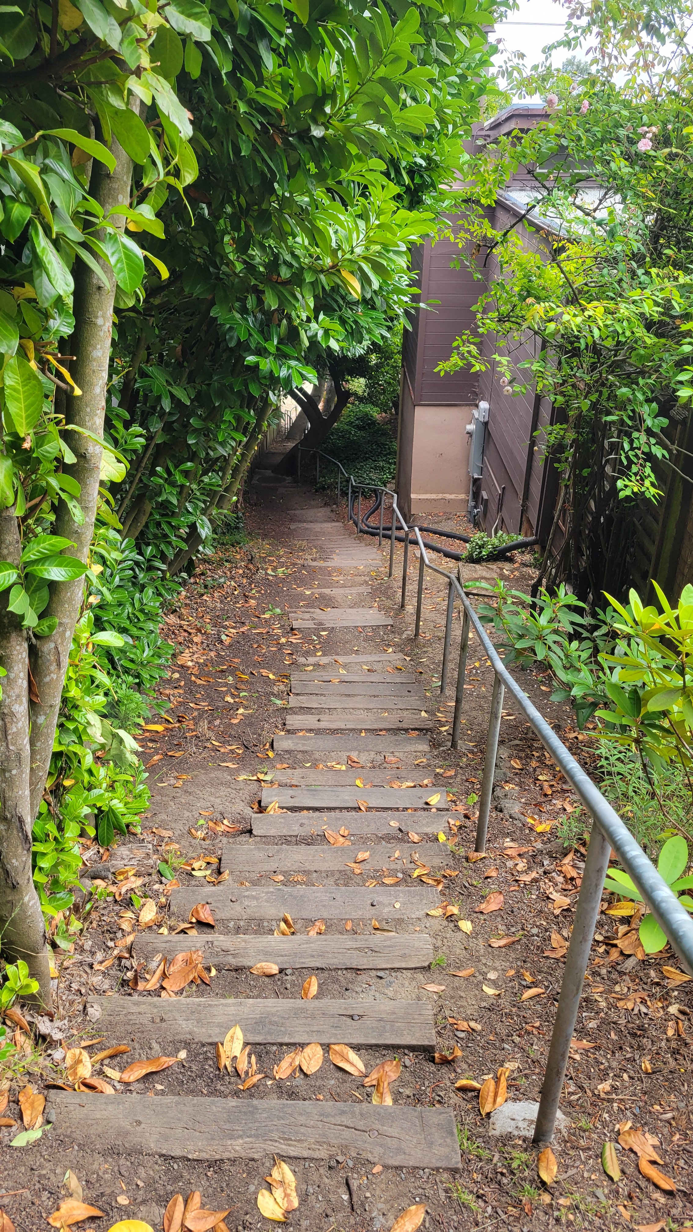 Ina Coolbrith Path 7.jpg