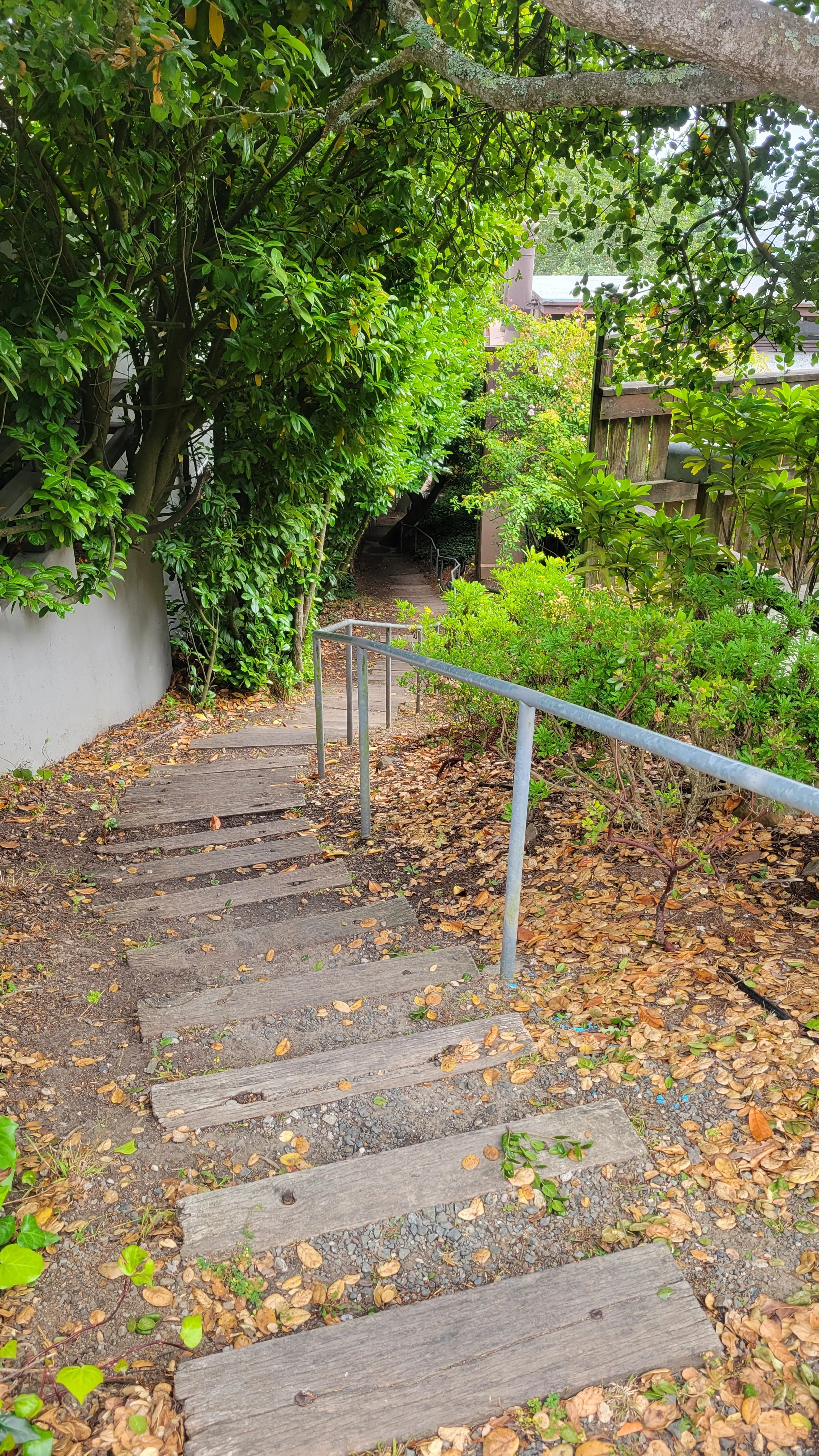 Ina Coolbrith Path 8.jpg