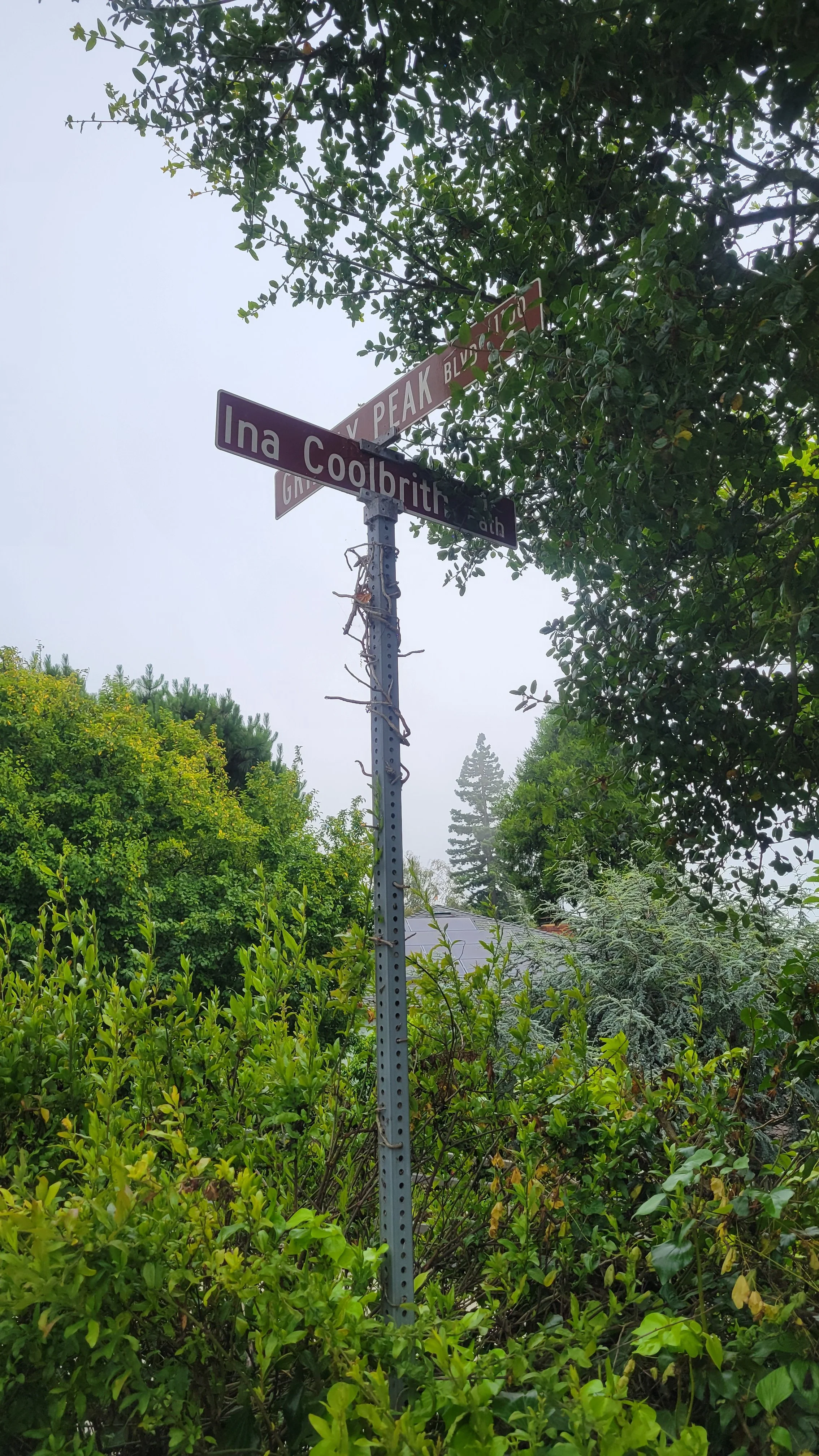 Ina Coolbrith Path 9.jpg