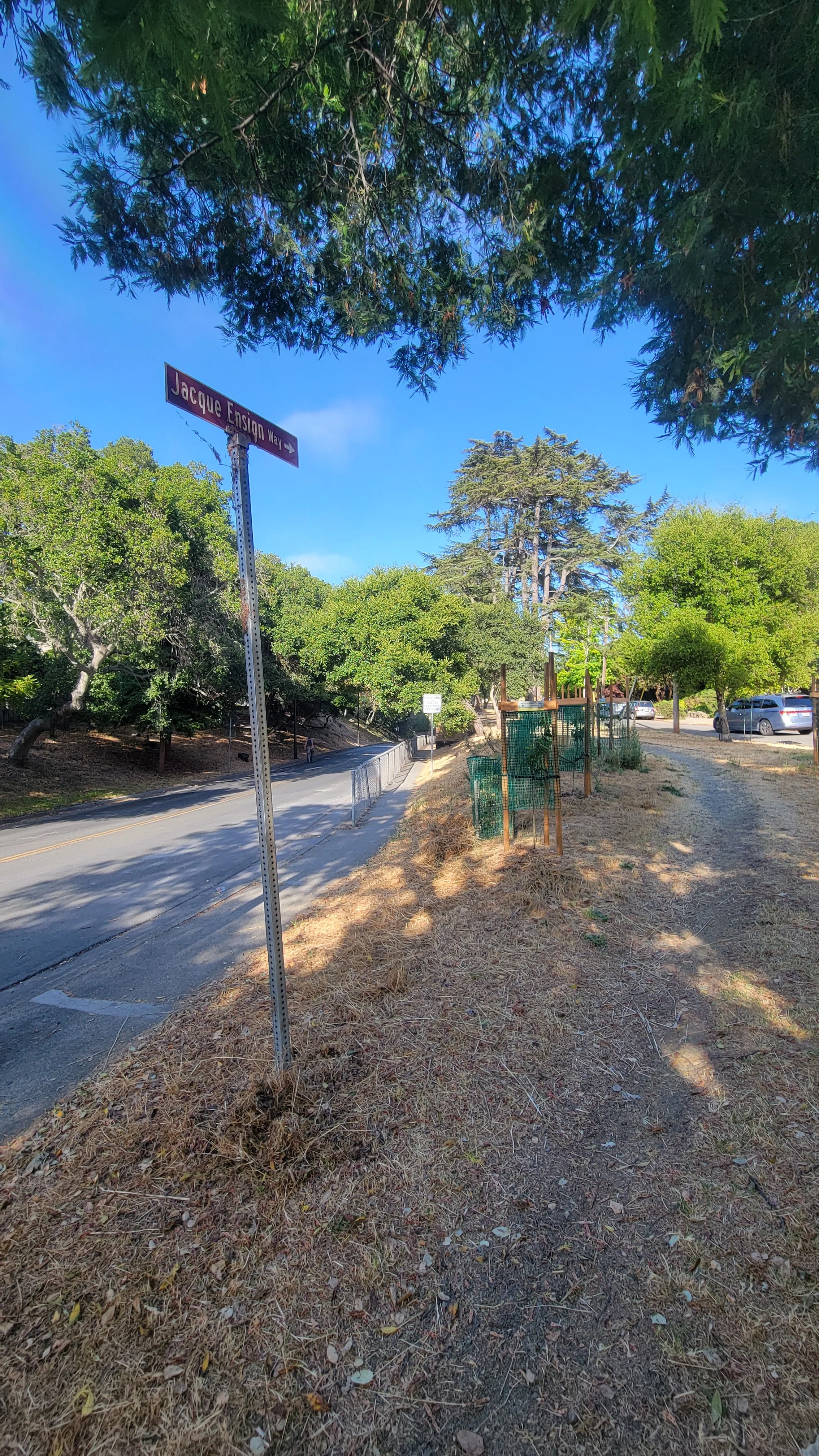 Jacque Ensign Way 1.jpg