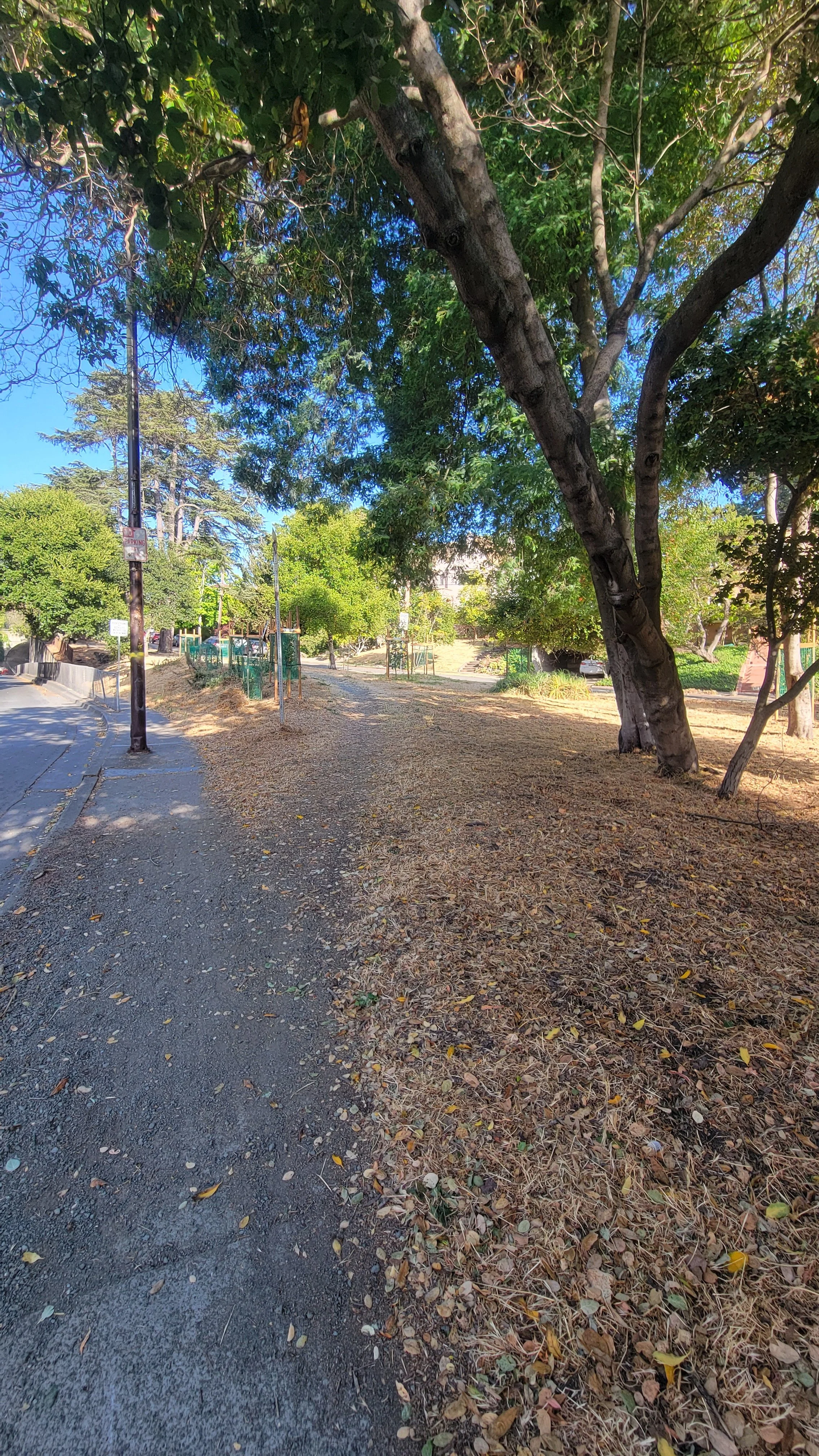 Jacque Ensign Way 2.jpg