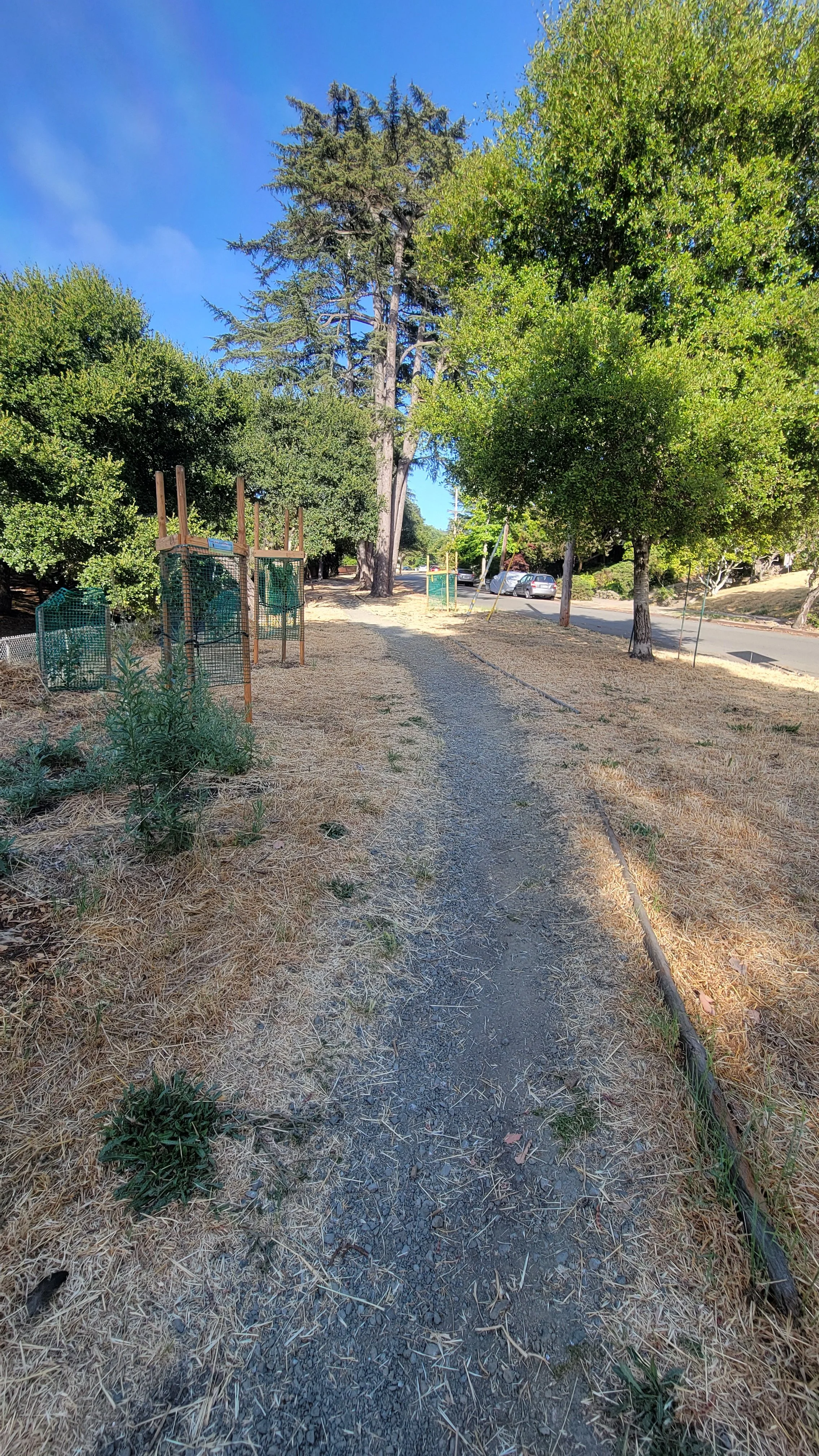 Jacque Ensign Way 3.jpg