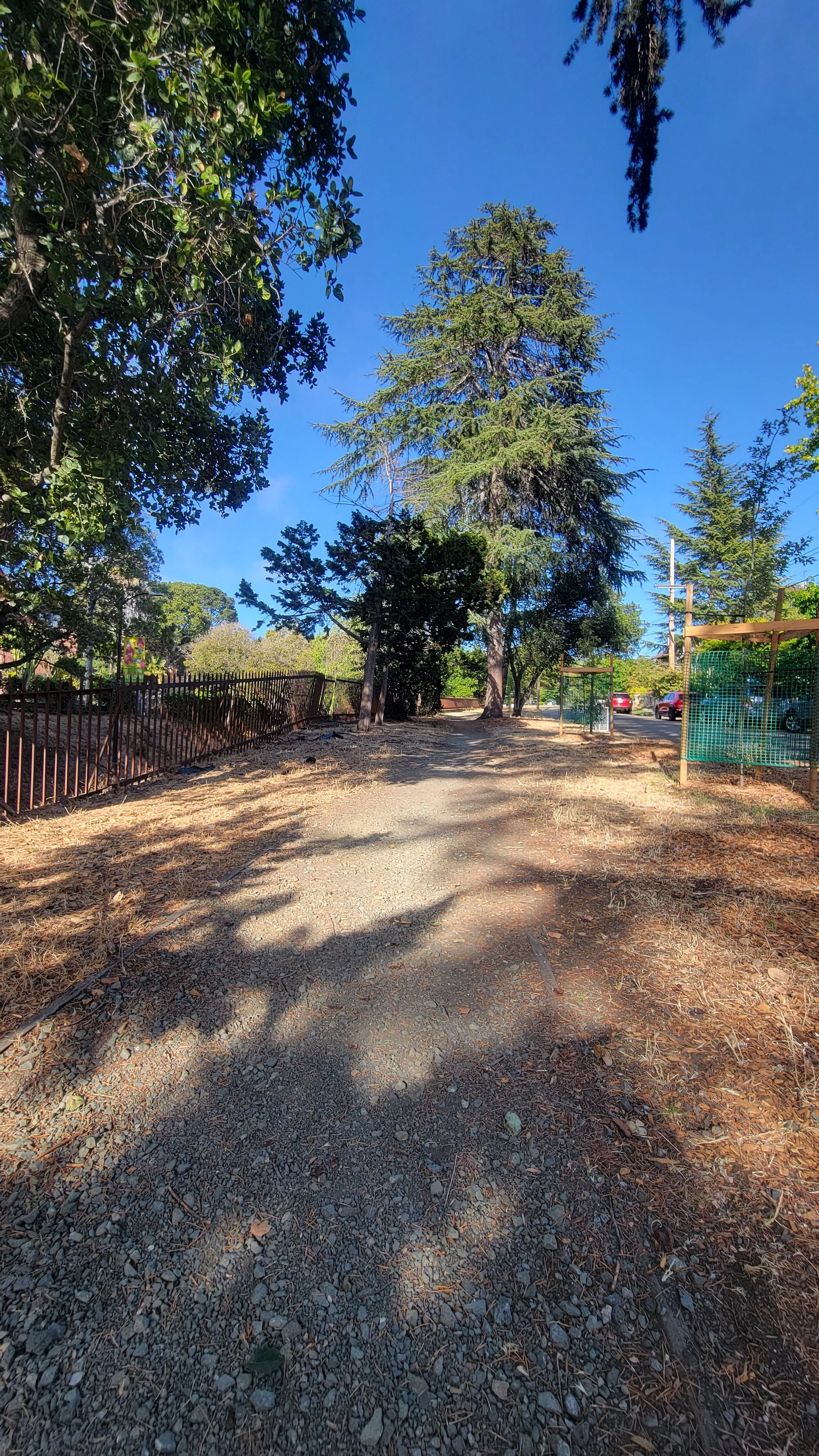 Jacque Ensign Way 4.jpg