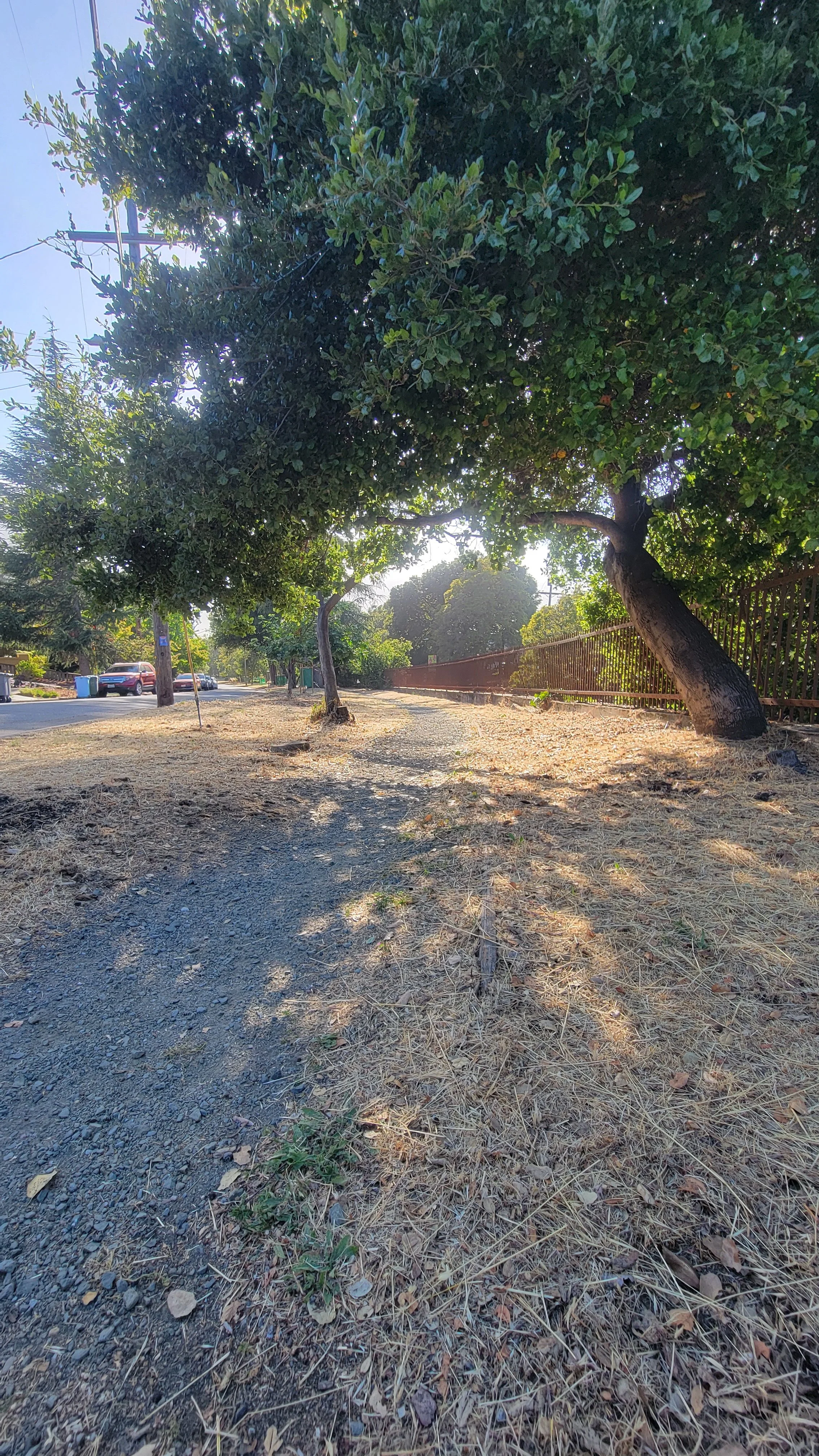 Jacque Ensign Way 7.jpg