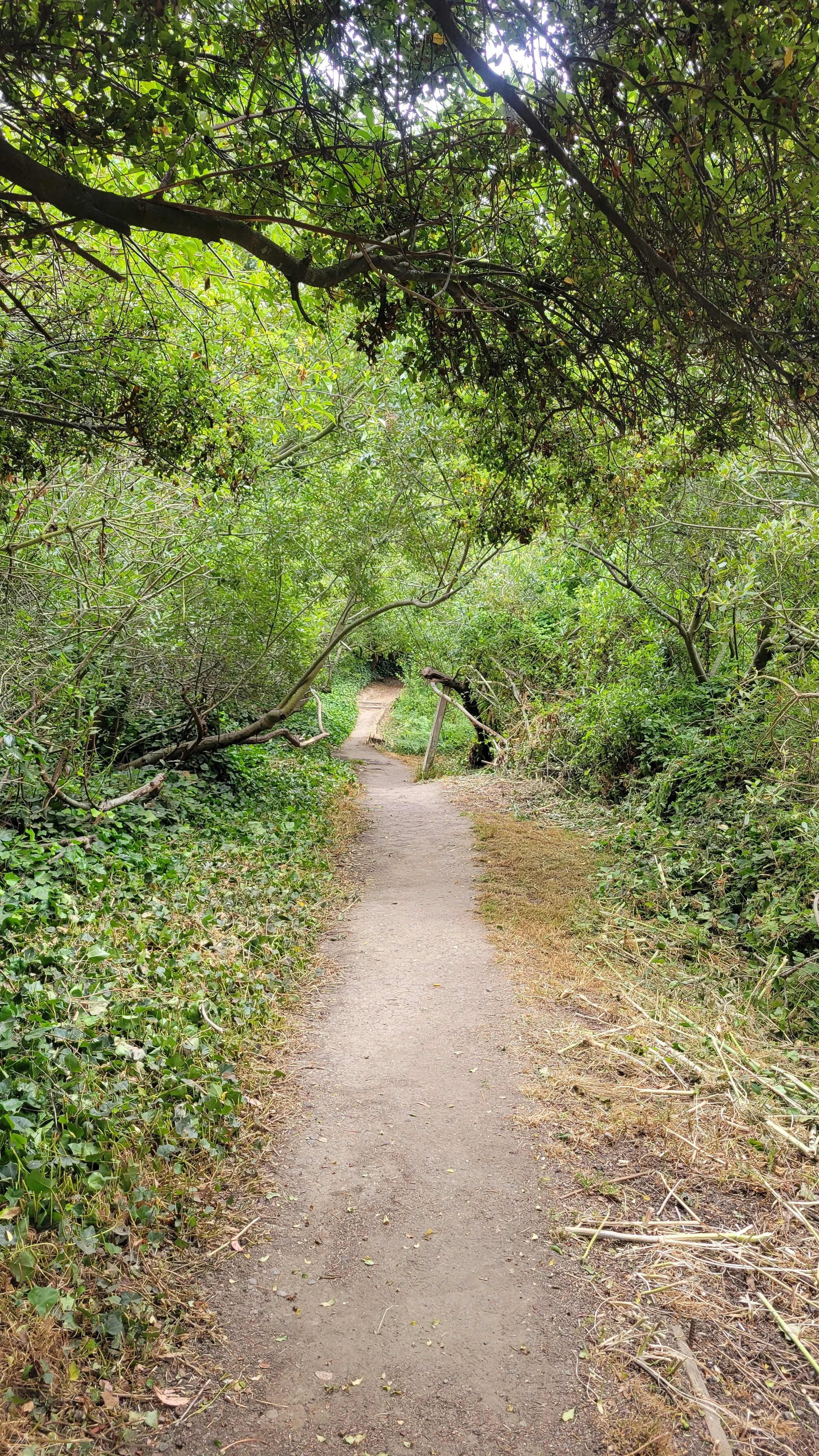 Keeler Path 5.jpg