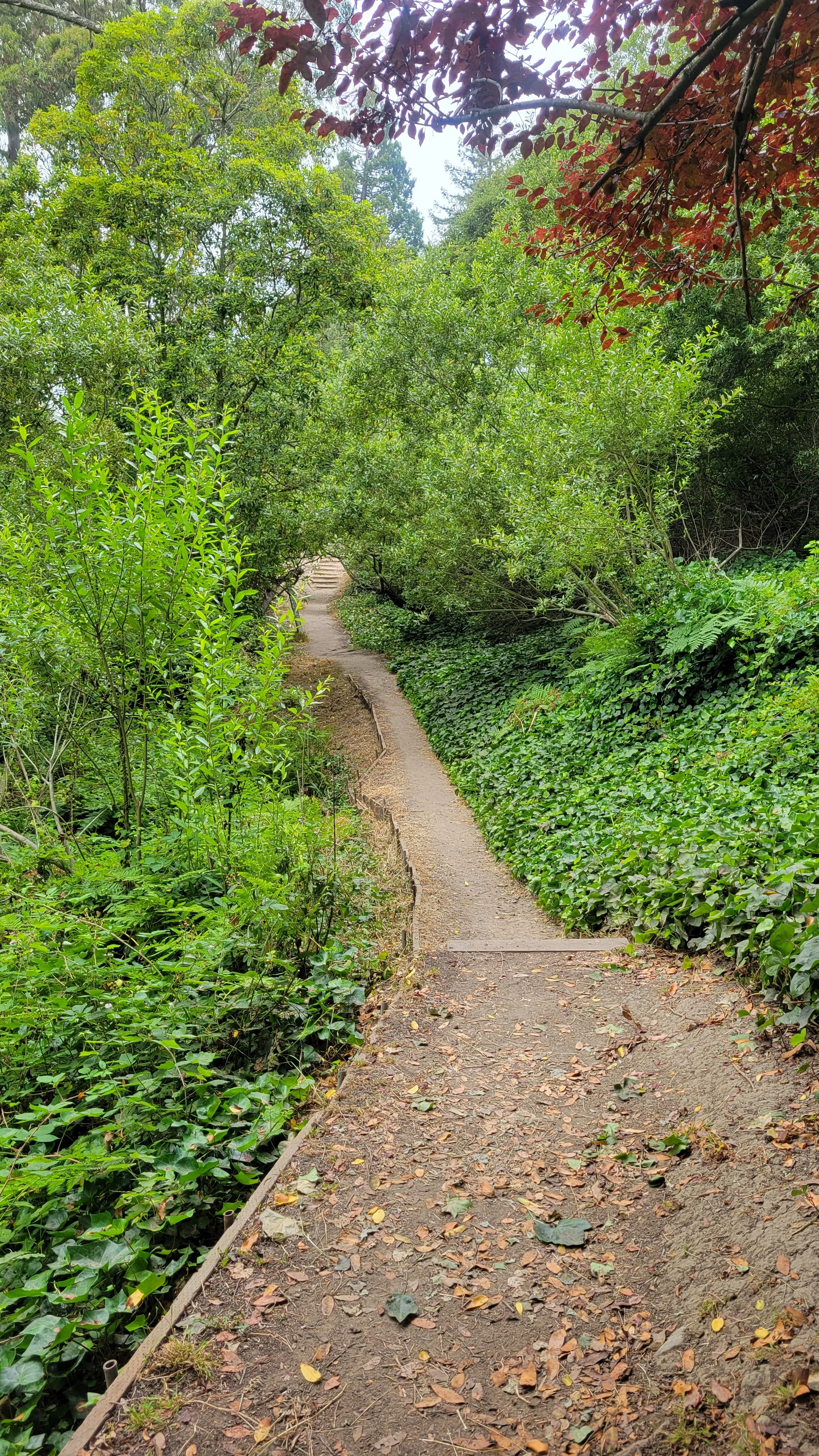 Keeler Path 6.jpg