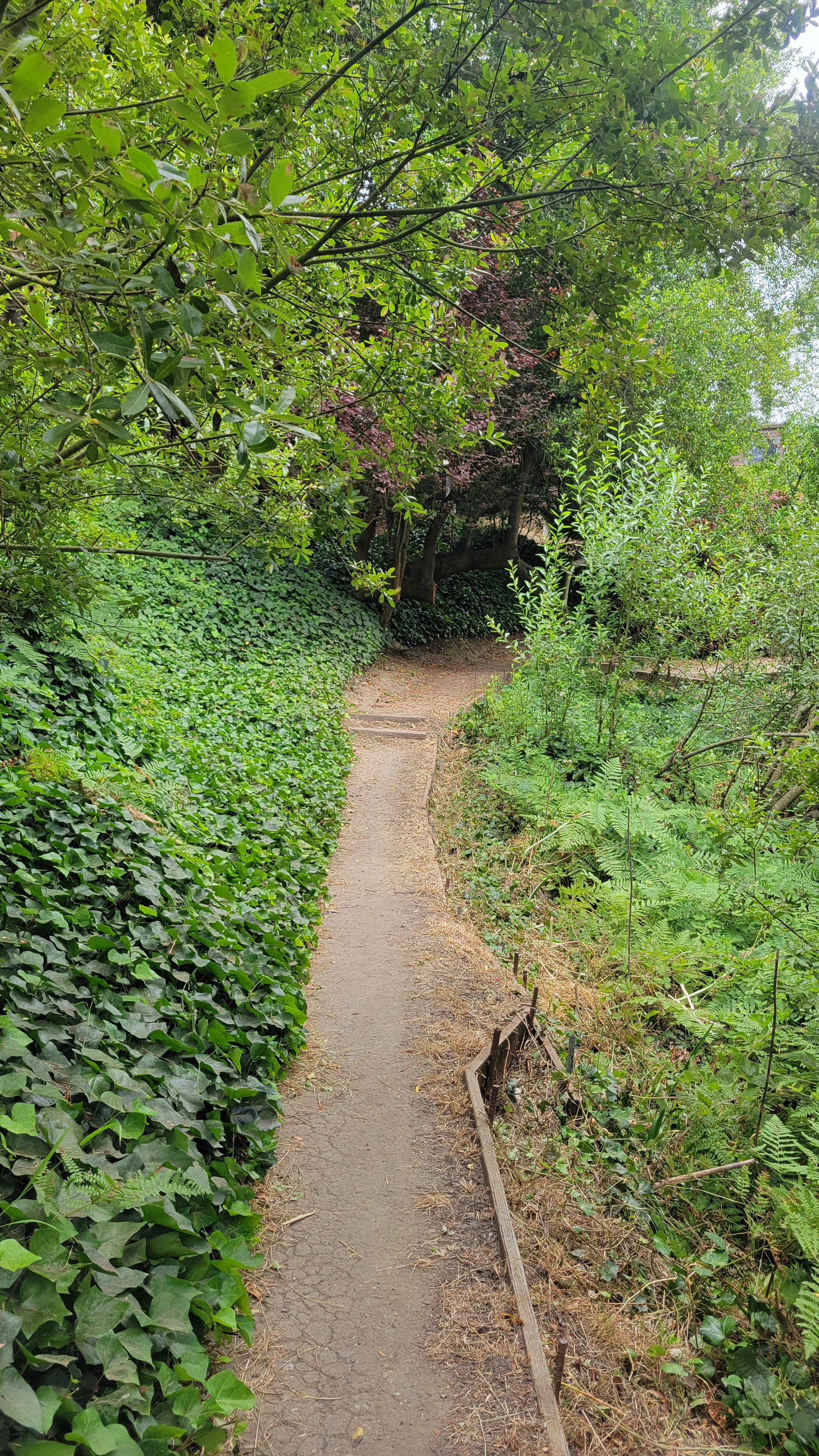 Keeler Path 7.jpg
