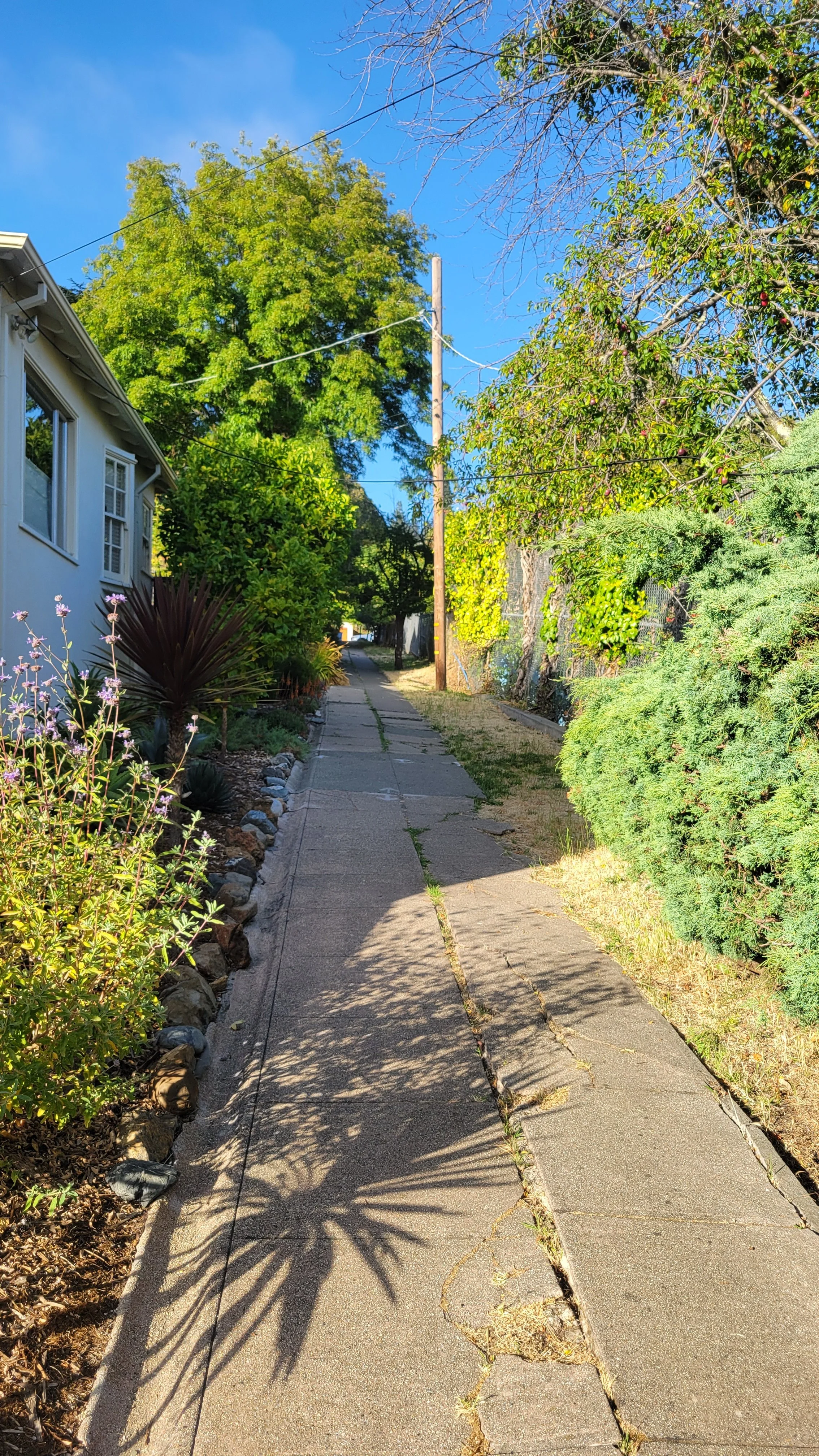 Oxford School Way 3.jpg