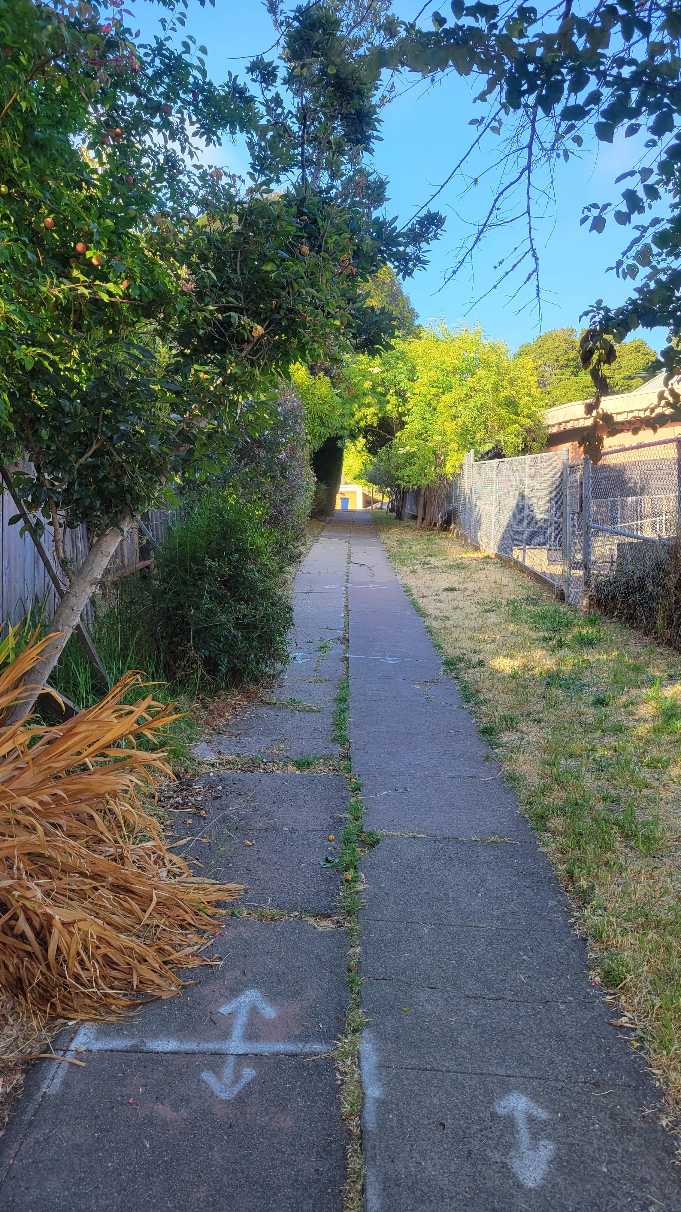 Oxford School Way 5.jpg