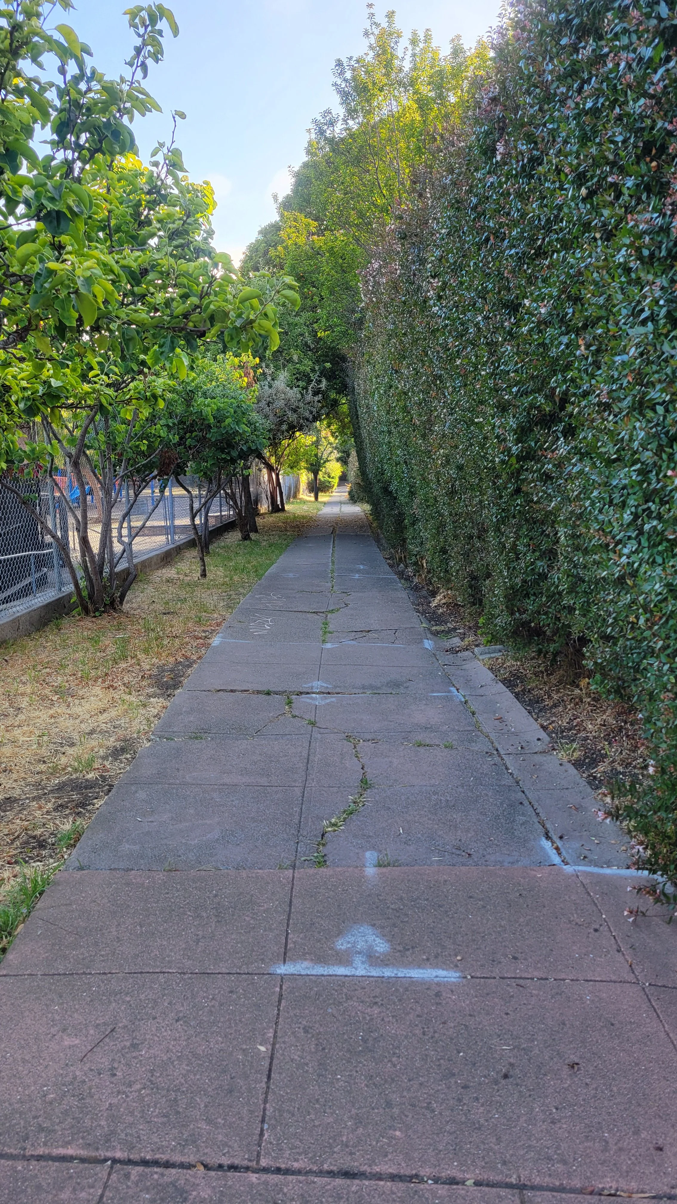 Oxford School Way 6.jpg