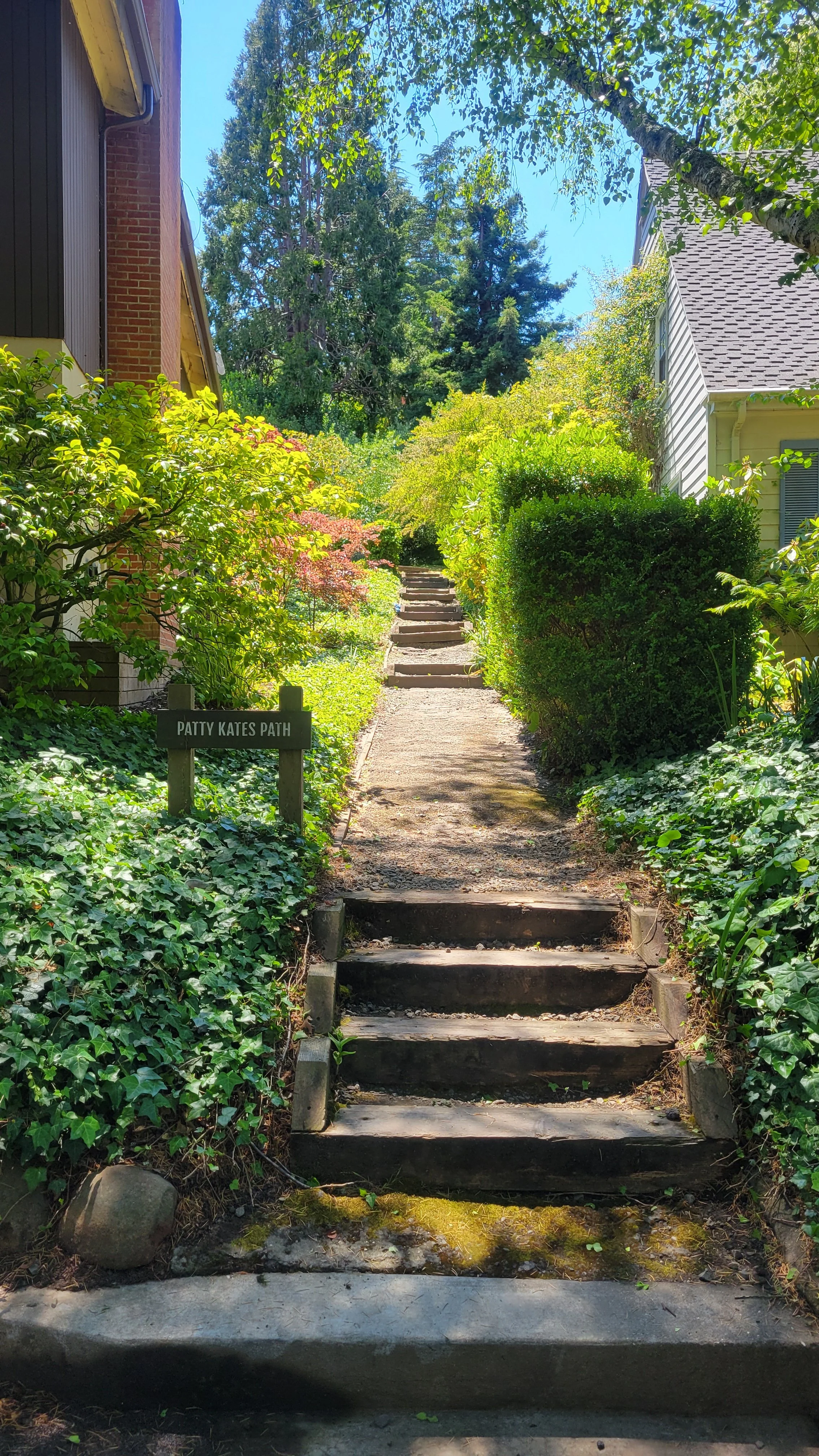 Patty Kates Path 1.jpg