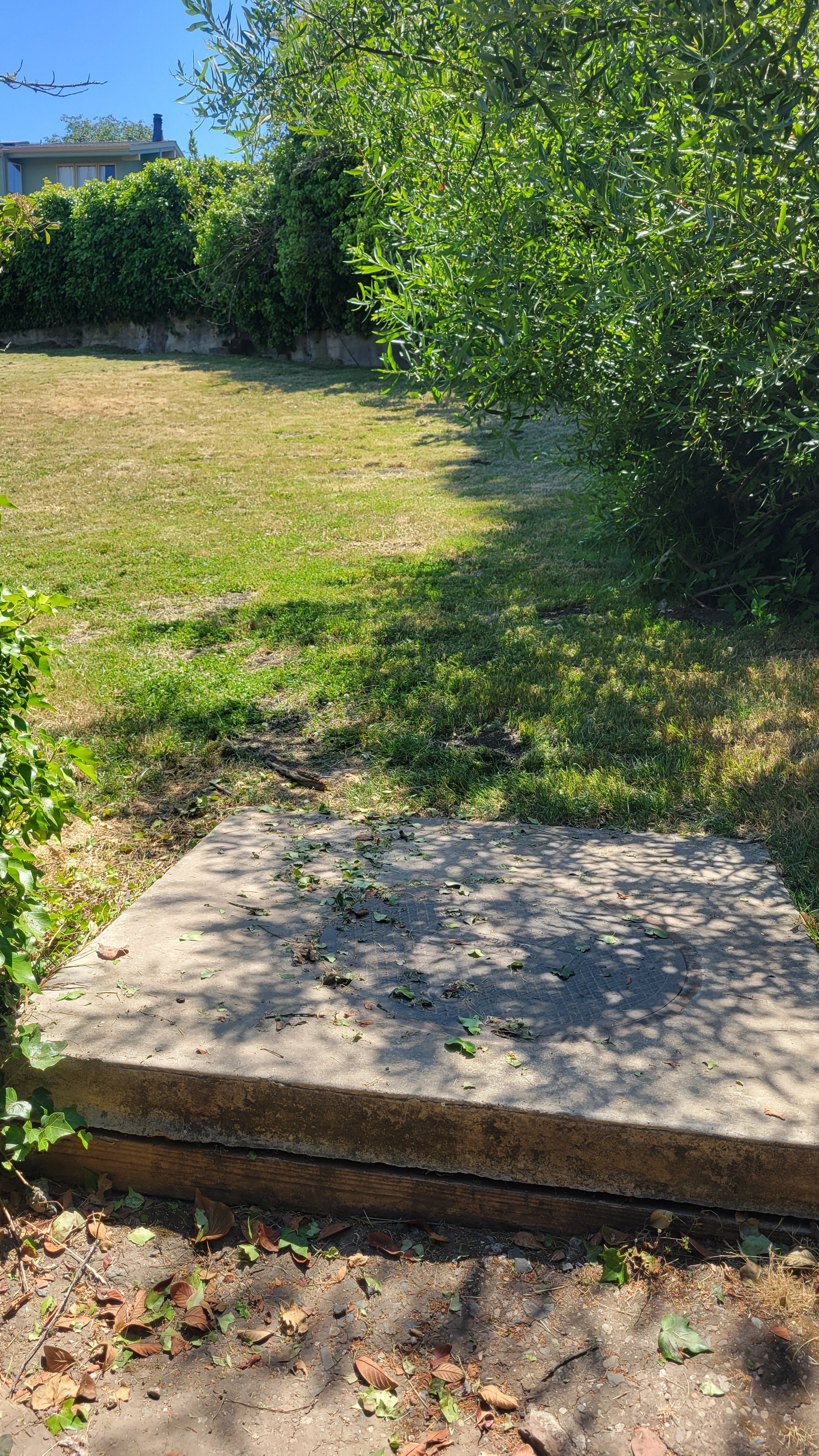 Patty Kates Path 3.jpg