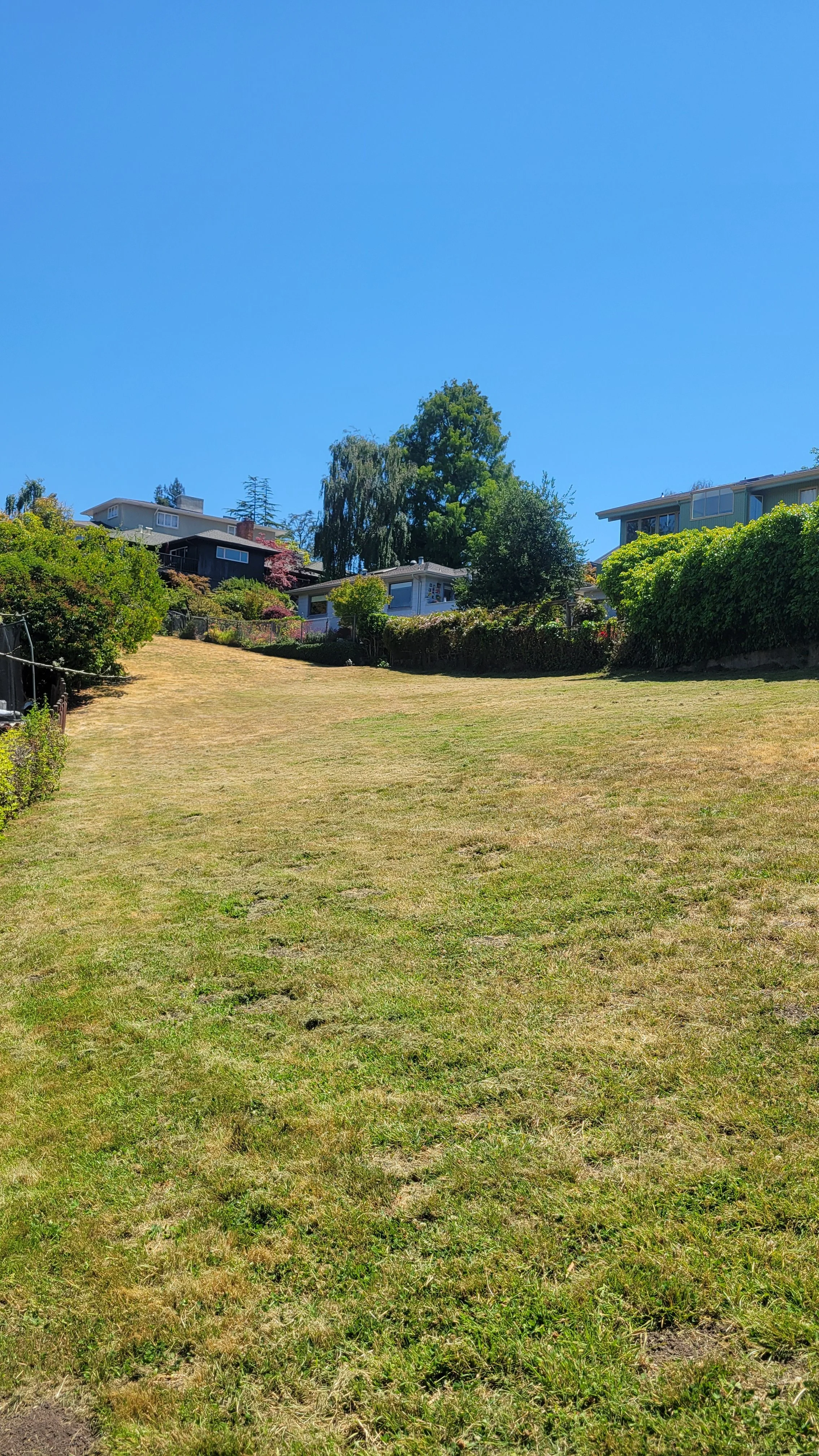 Patty Kates Path 4.jpg