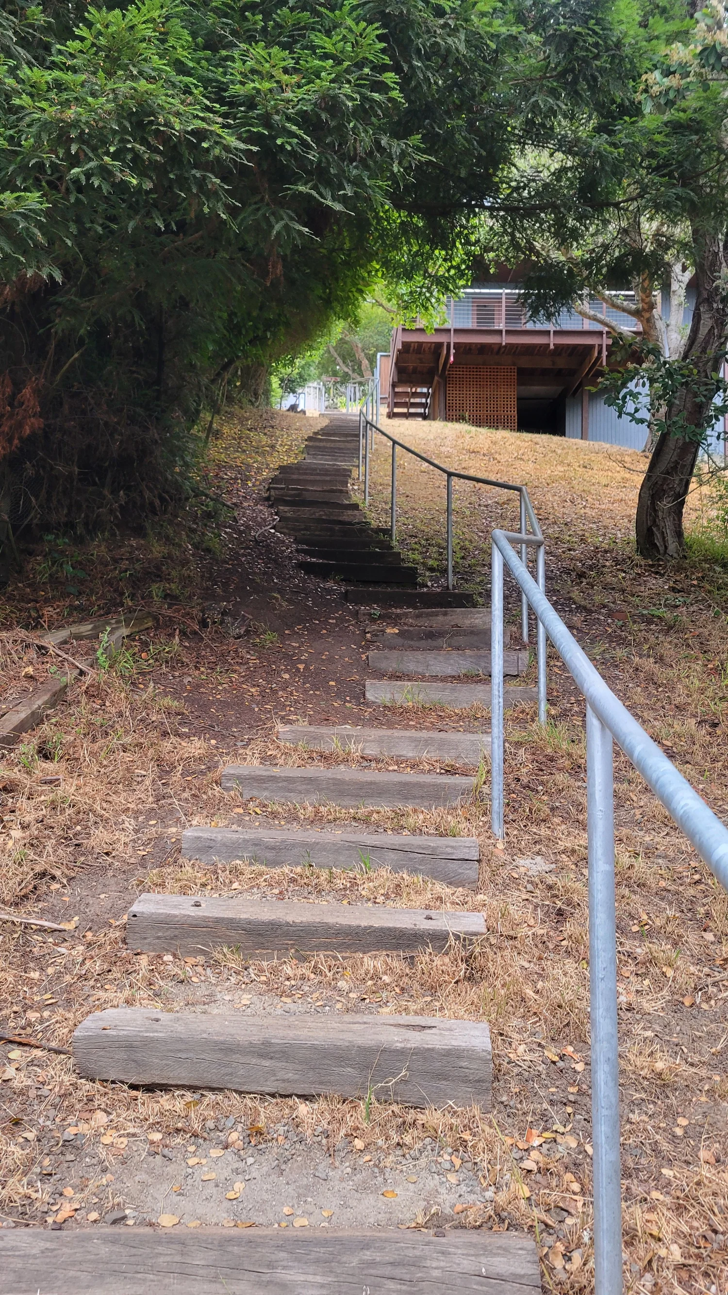 Poppy Path | Explore Local Trails - Join Our Walks — Berkeley Path ...