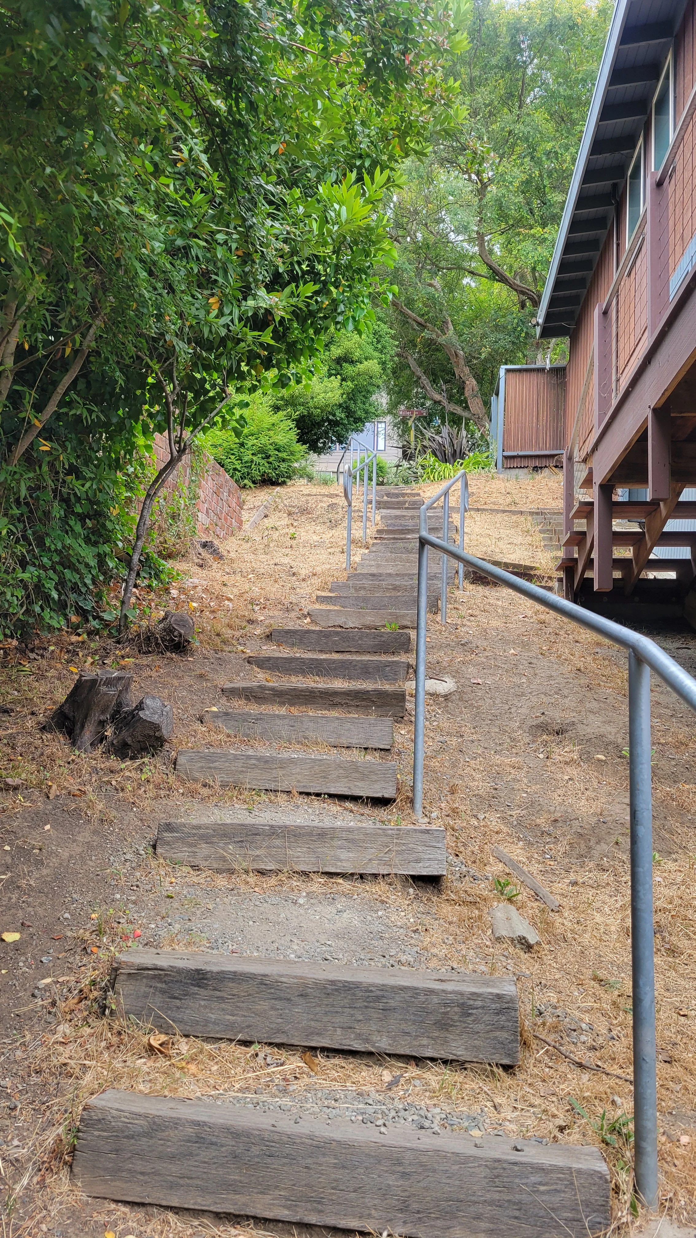 Poppy Path | Explore Local Trails - Join Our Walks — Berkeley Path ...