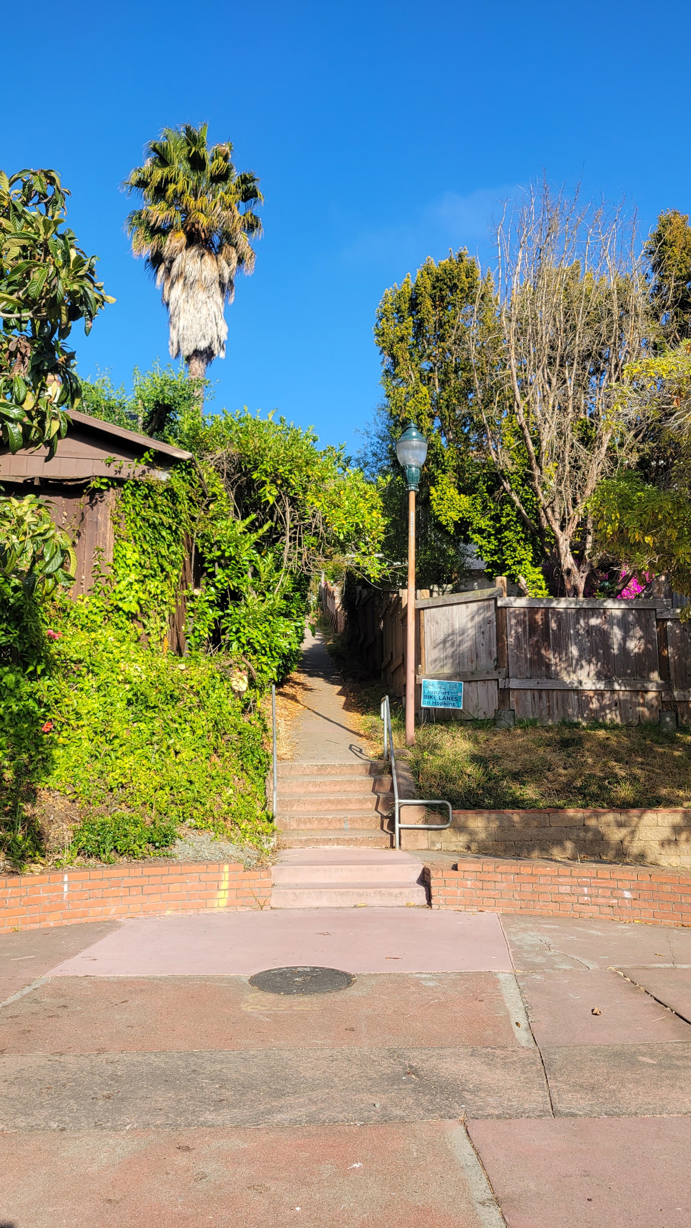 Terrace Walk Lower 1.jpg