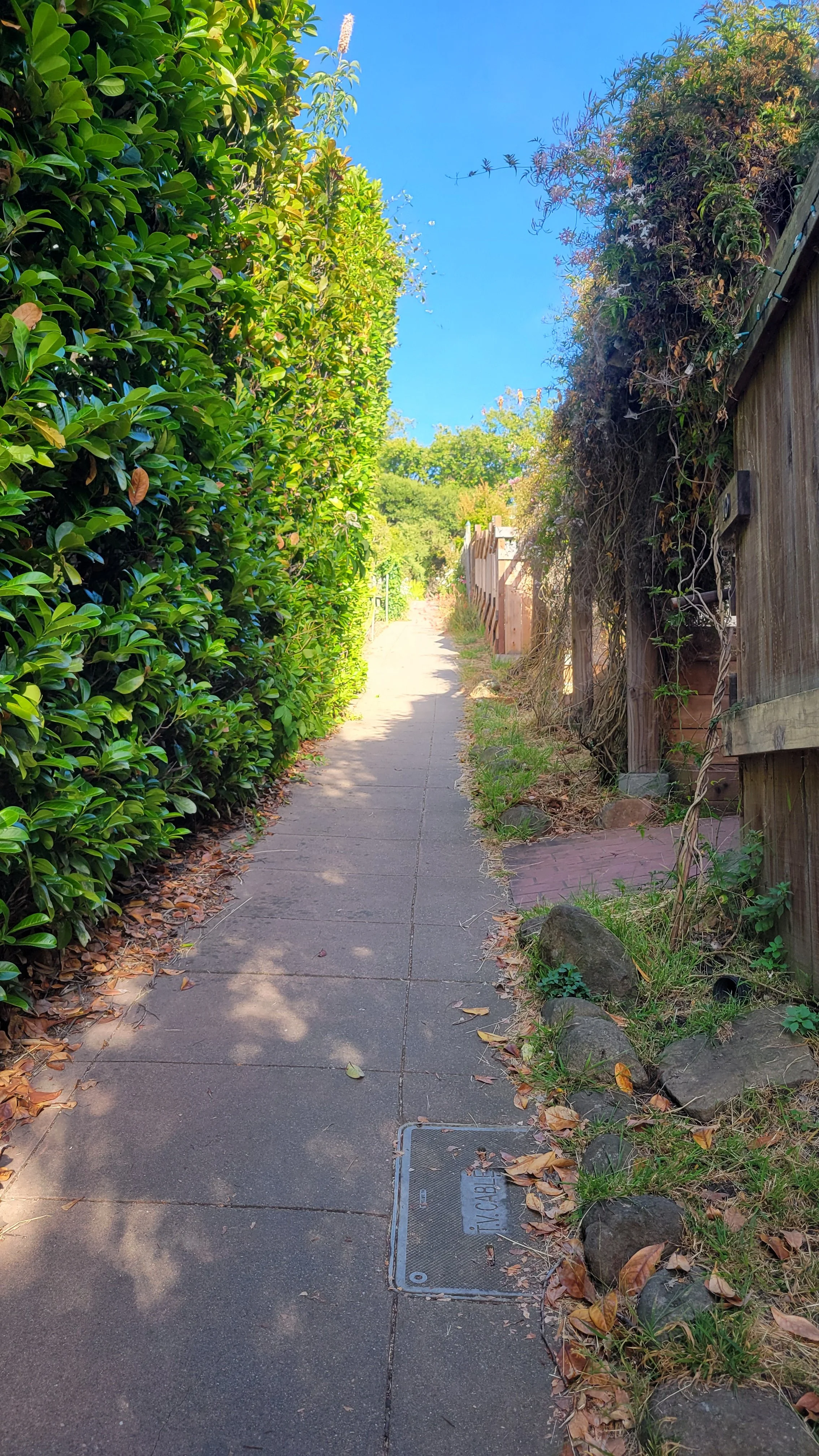 Terrace Walk Lower 3.jpg