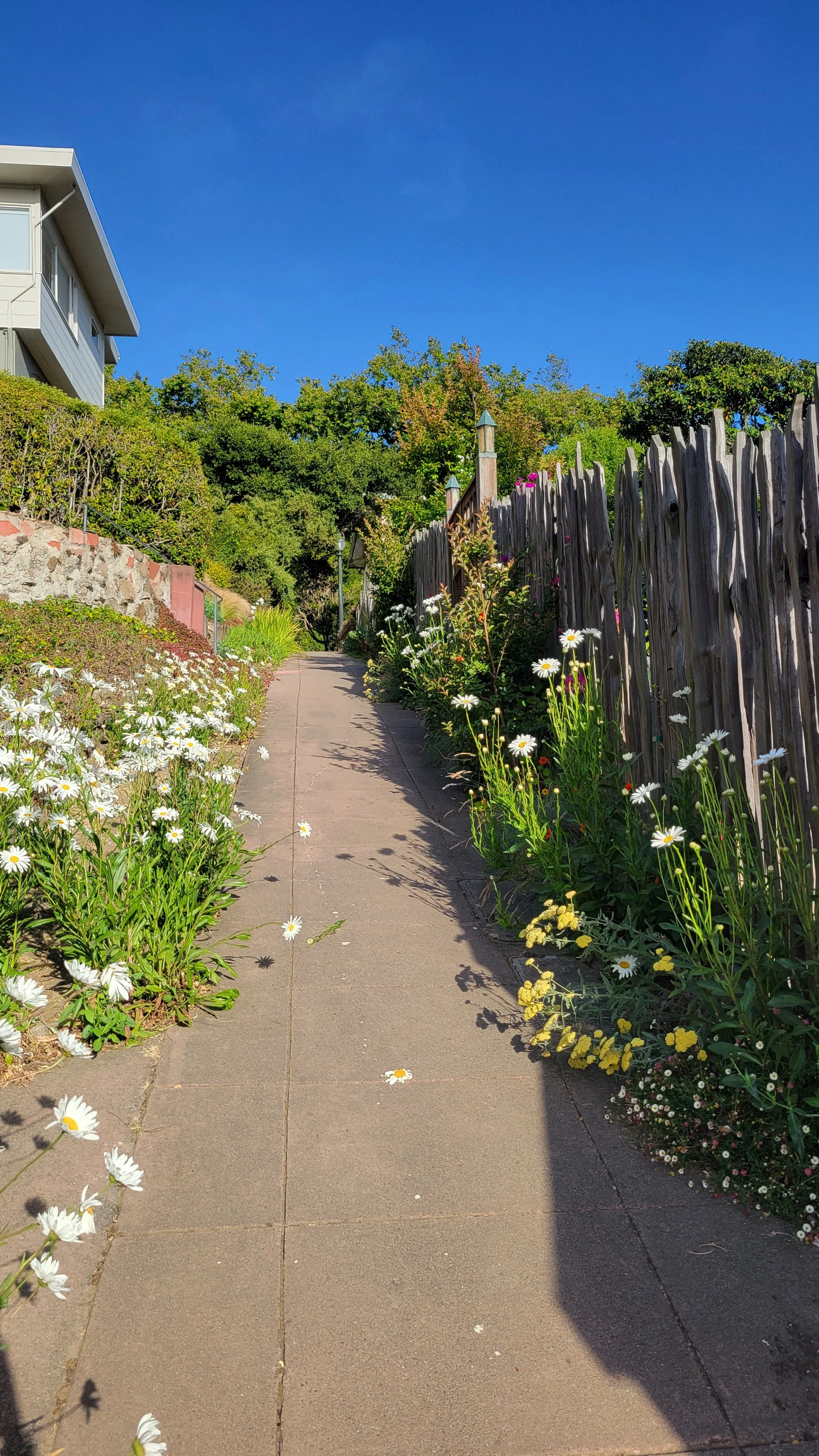 Terrace Walk Lower 4.jpg