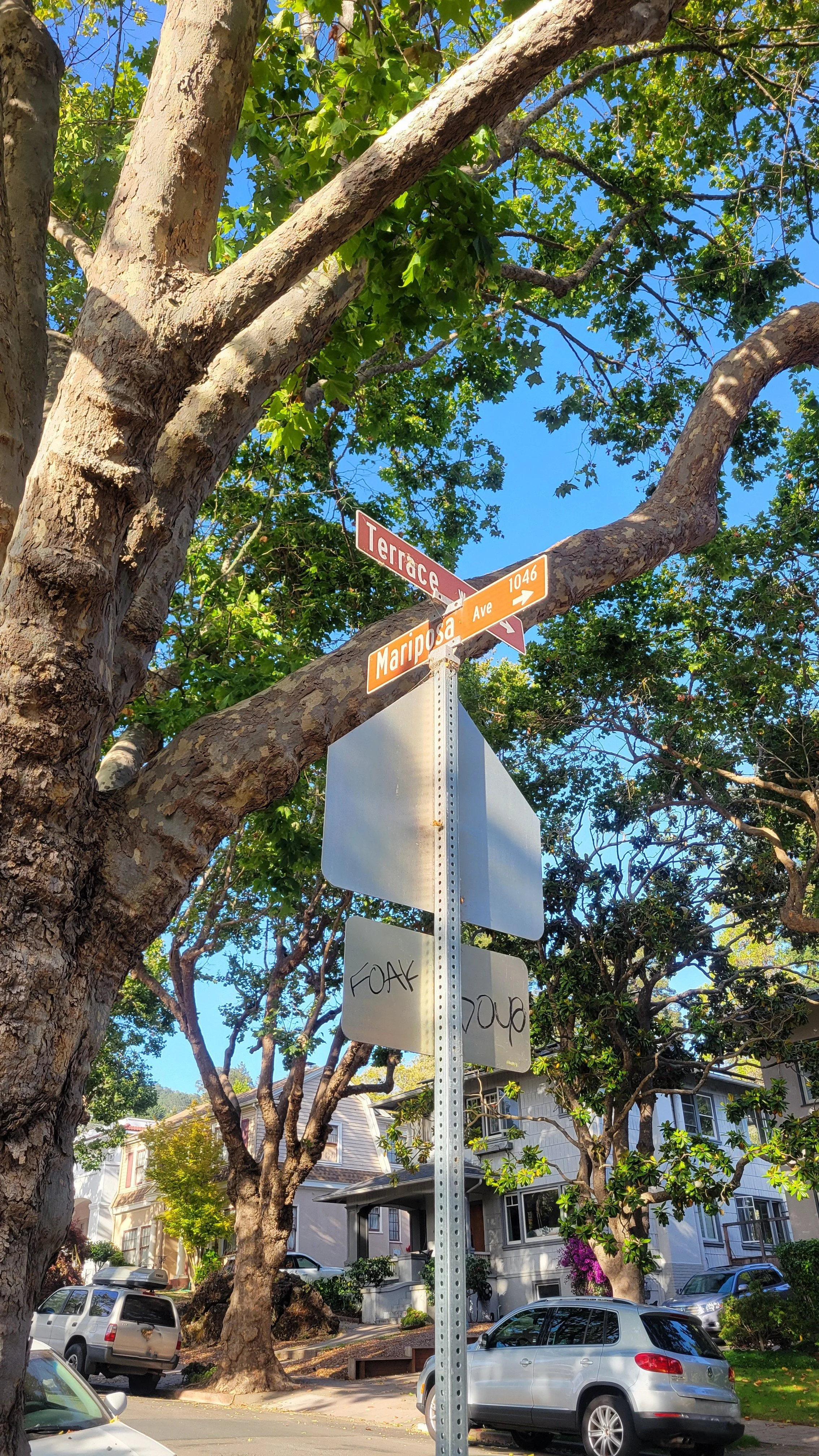 Terrace Walk Lower 7.jpg