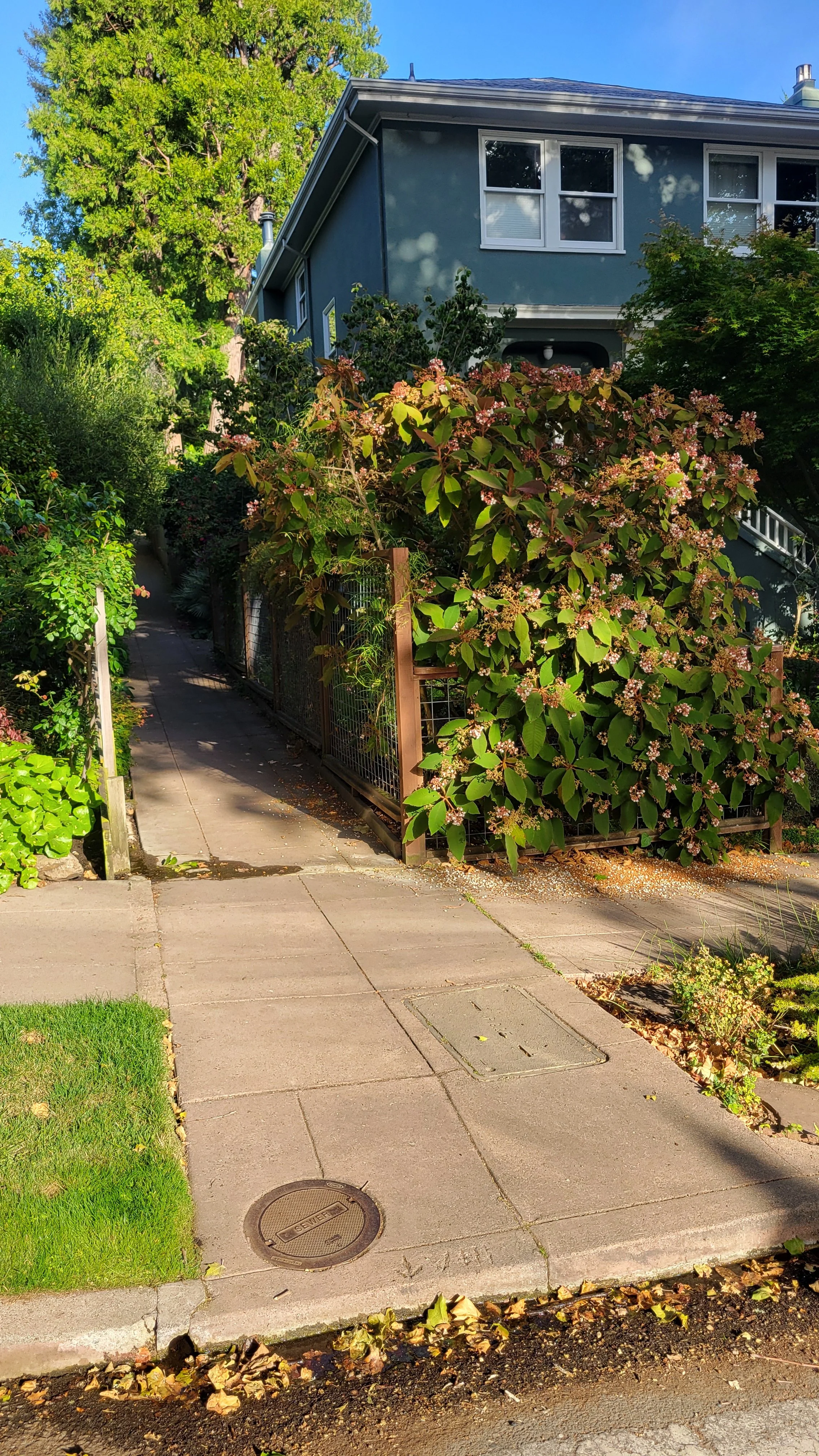 Terrace Walk Upper 1.jpg