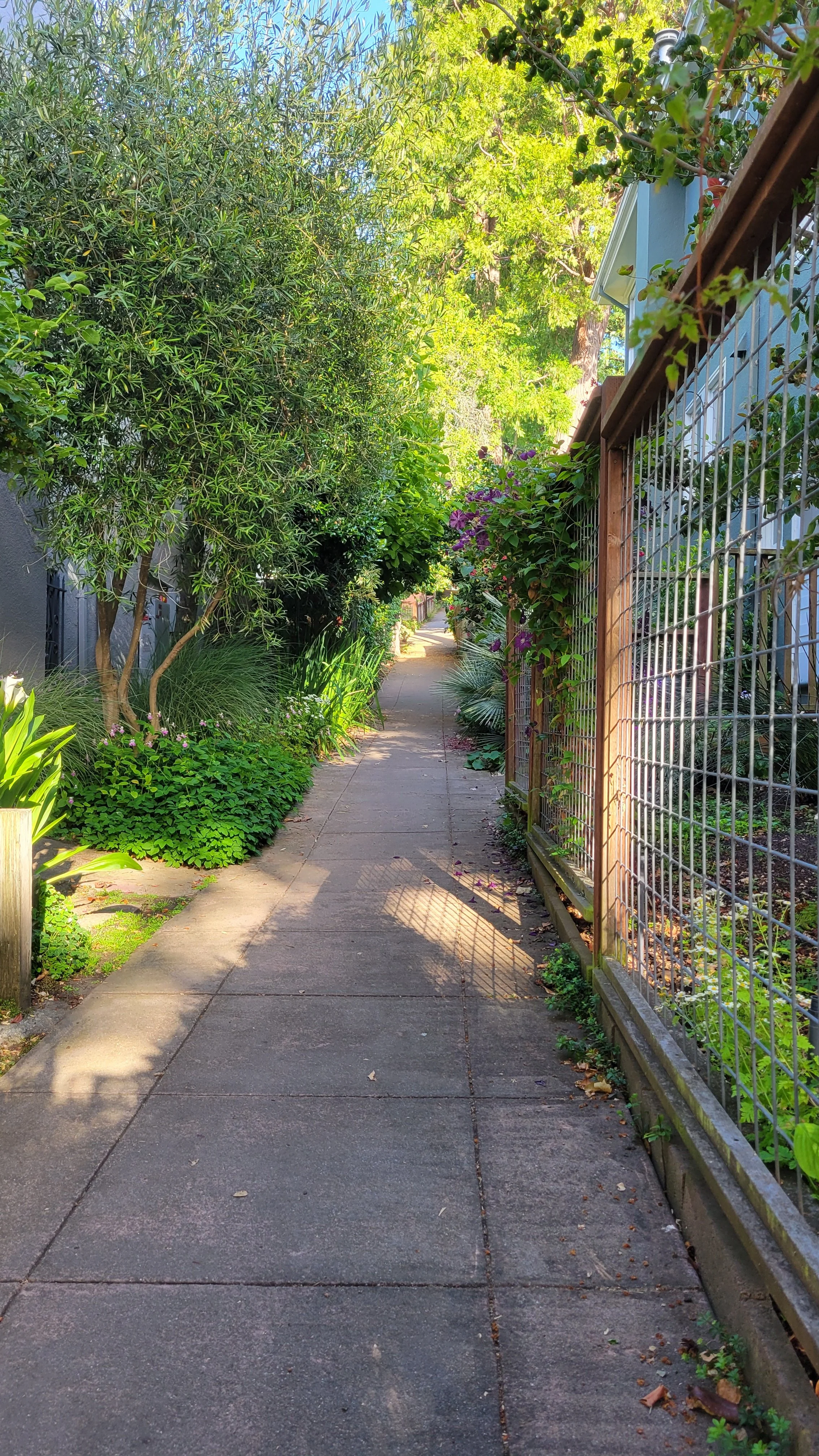 Terrace Walk Upper 2.jpg