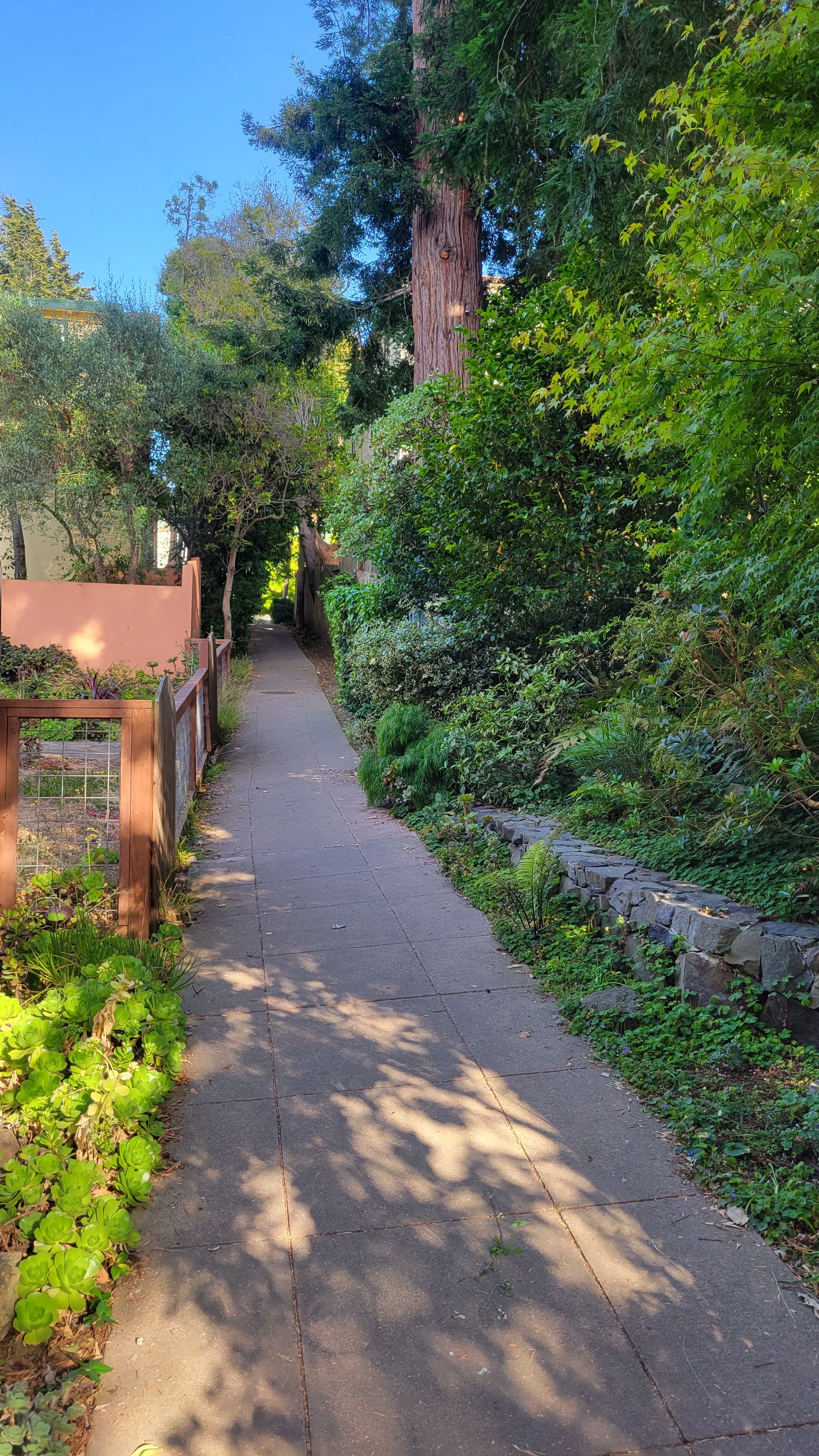 Terrace Walk Upper 3.jpg