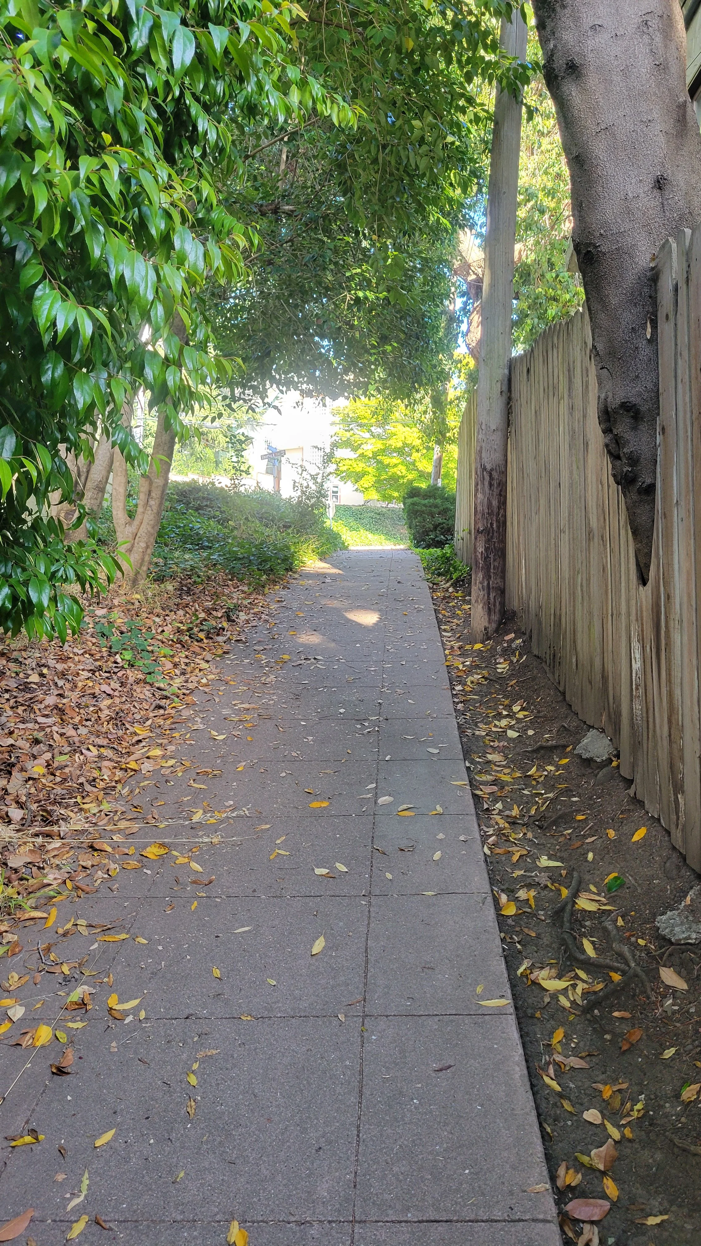 Terrace Walk Upper 4.jpg