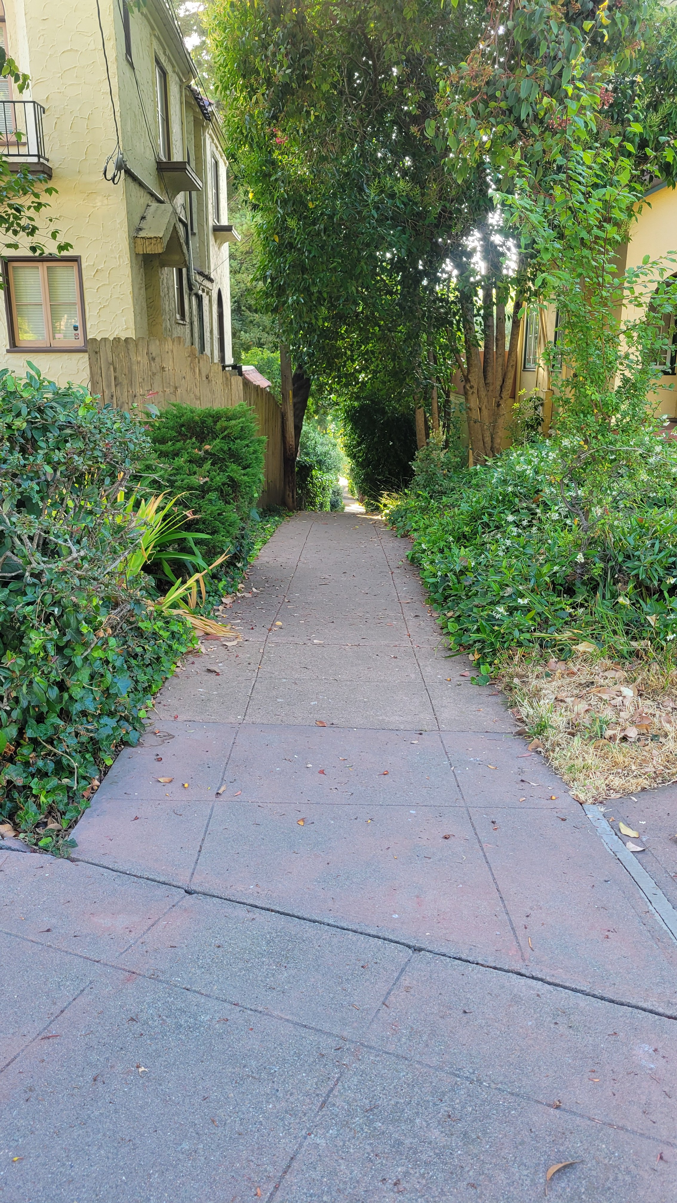 Terrace Walk Upper 5.jpg