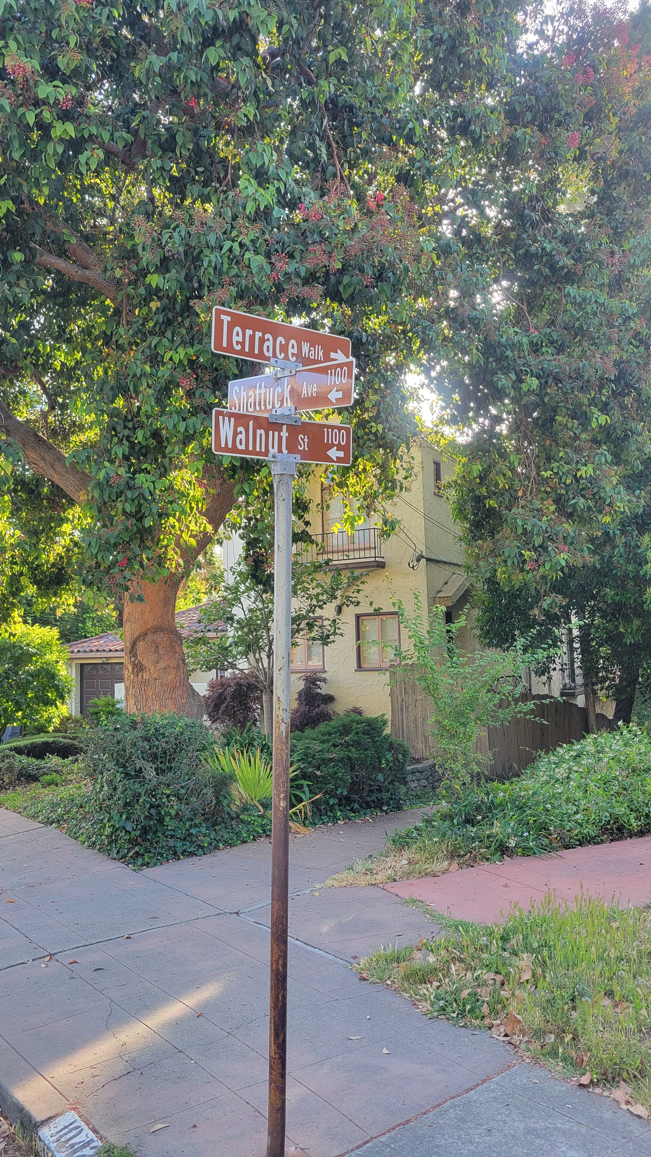 Terrace Walk Upper 6.jpg