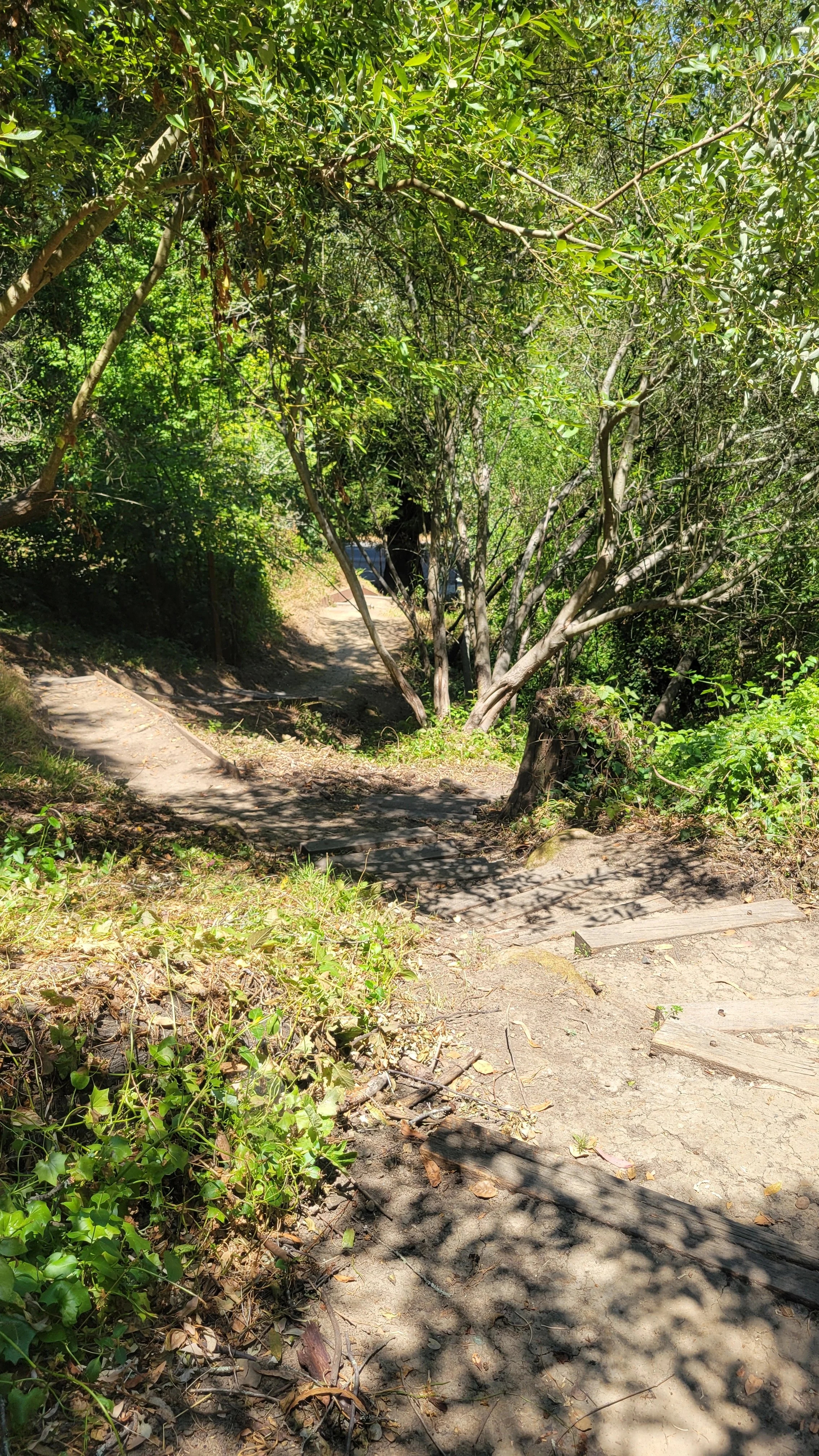 Wildcat Path 8.jpg