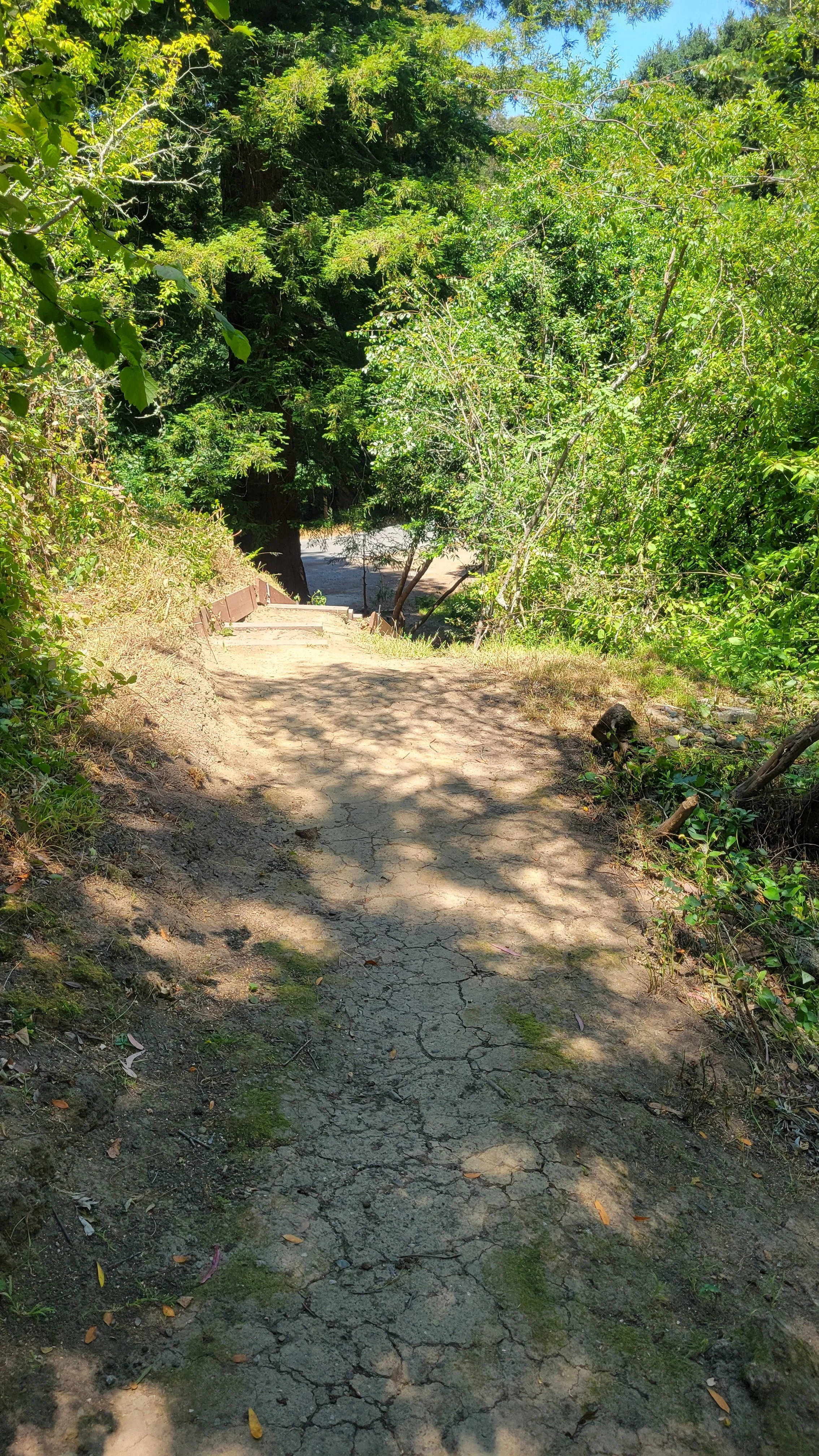 Wildcat Path 9.jpg