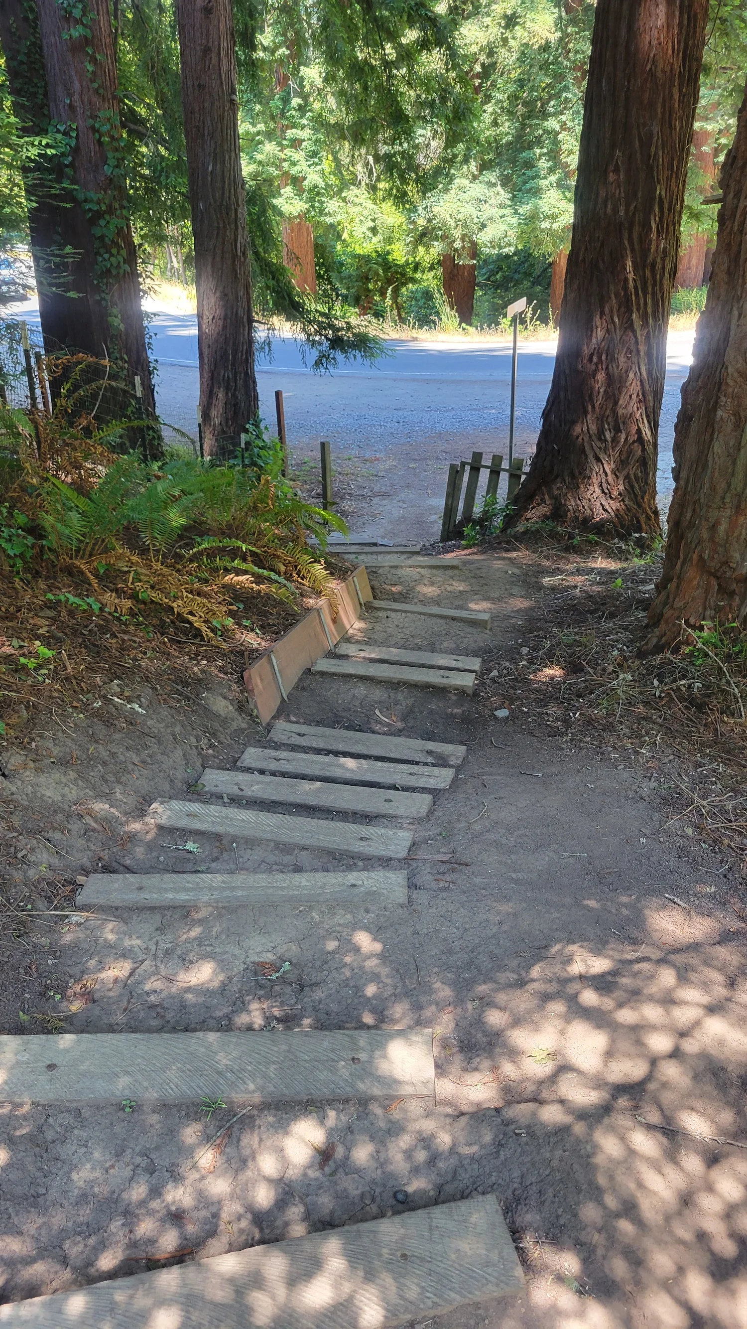 Wildcat Path | Explore Local Paths — Get Walking Today — Berkeley Path ...