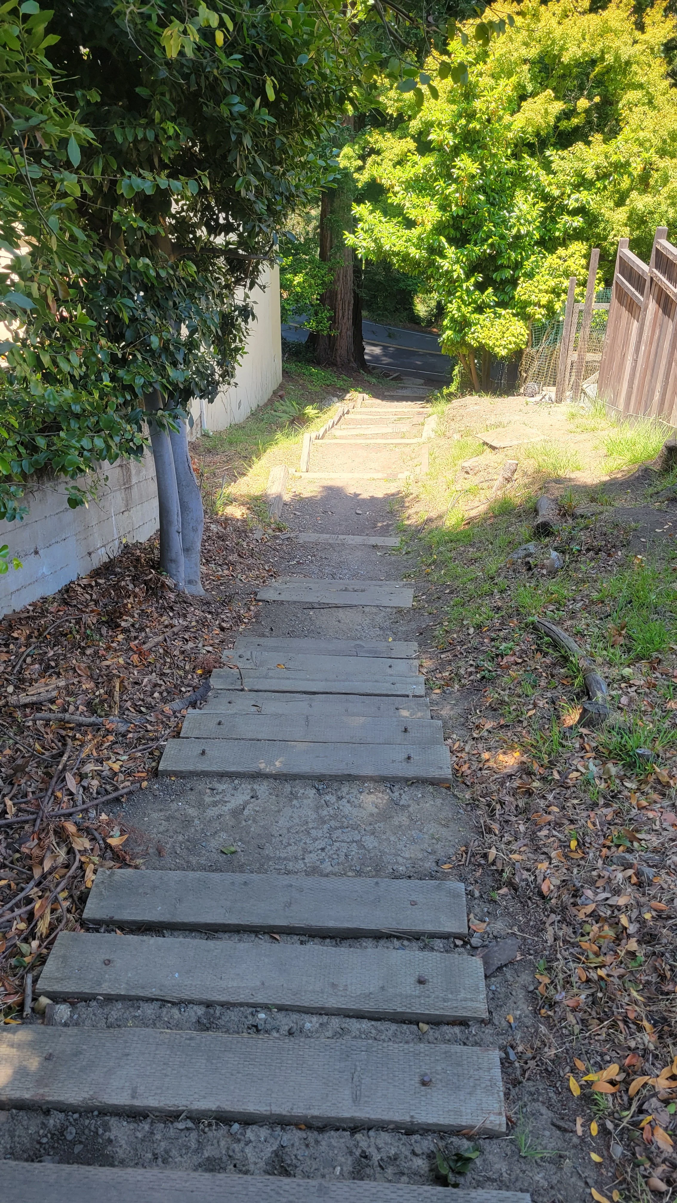 Fred Herbert Path Lower 2.jpg