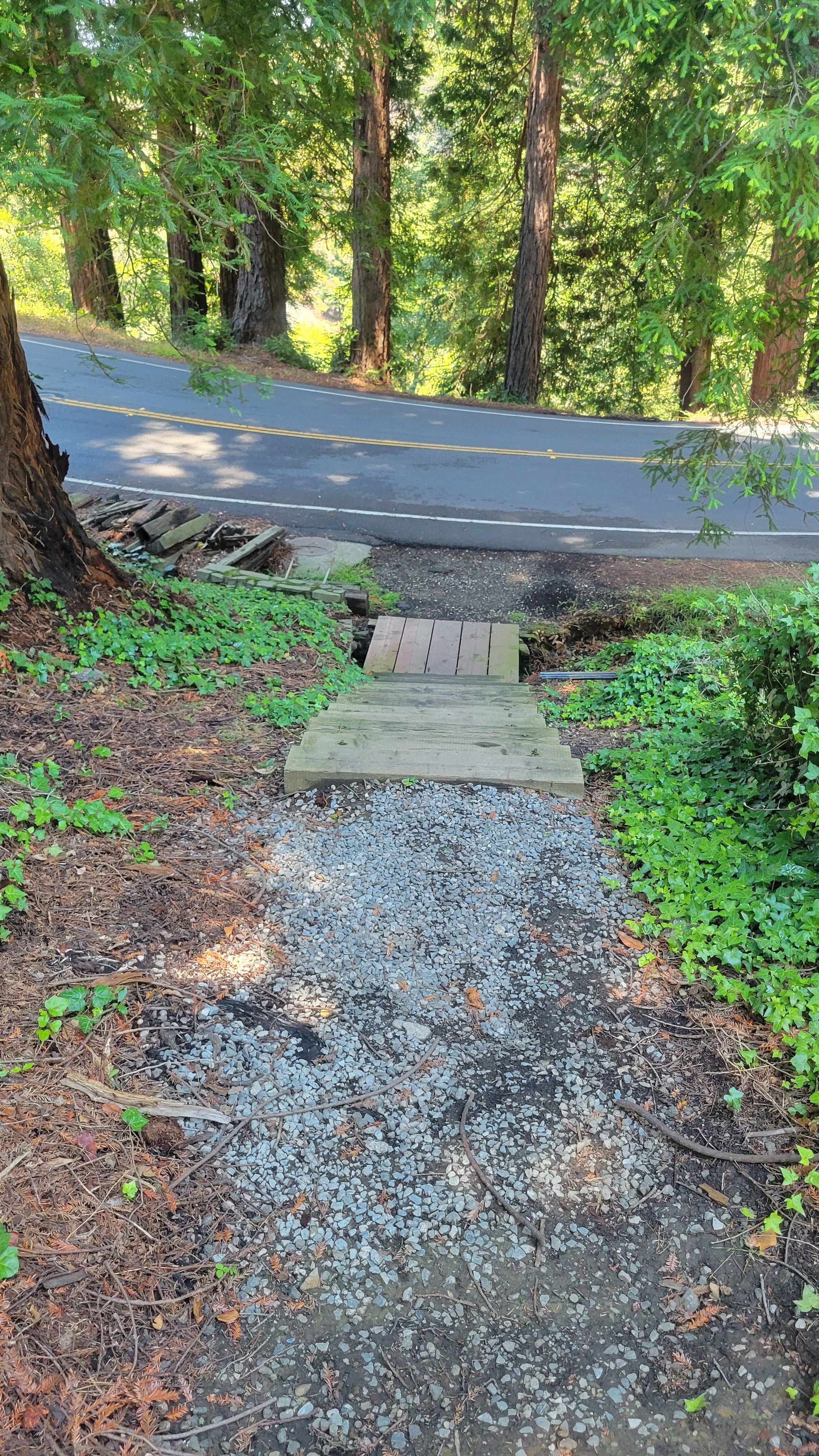 Fred Herbert Path Lower 4.jpg