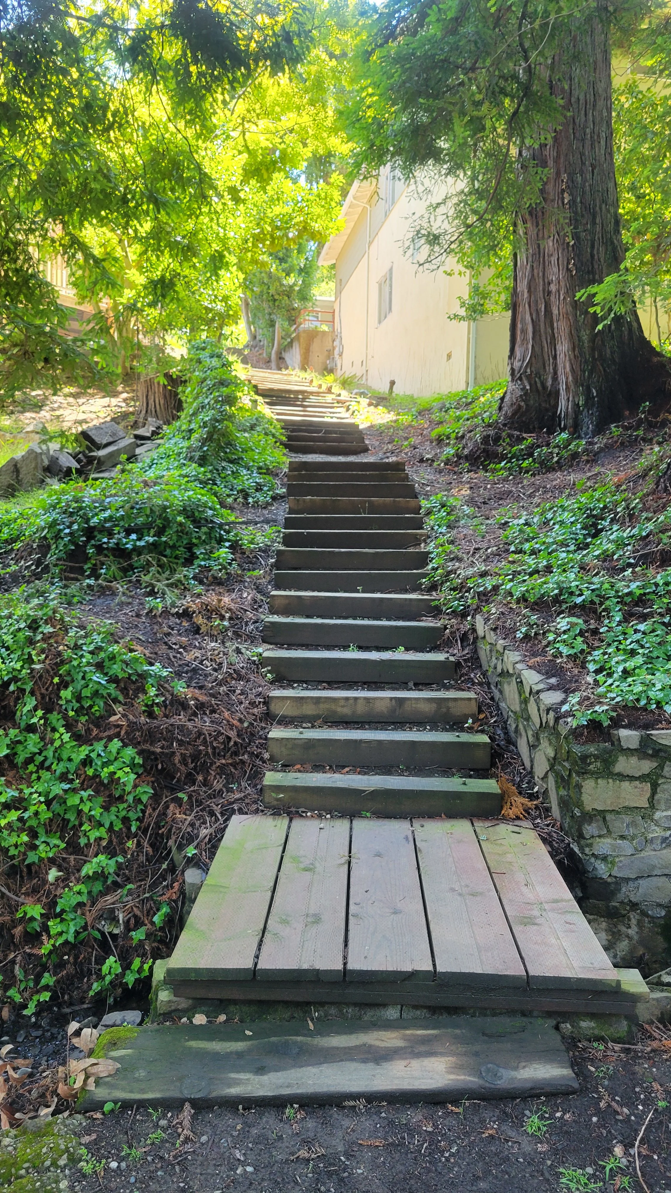 Fred Herbert Path Lower 5.jpg