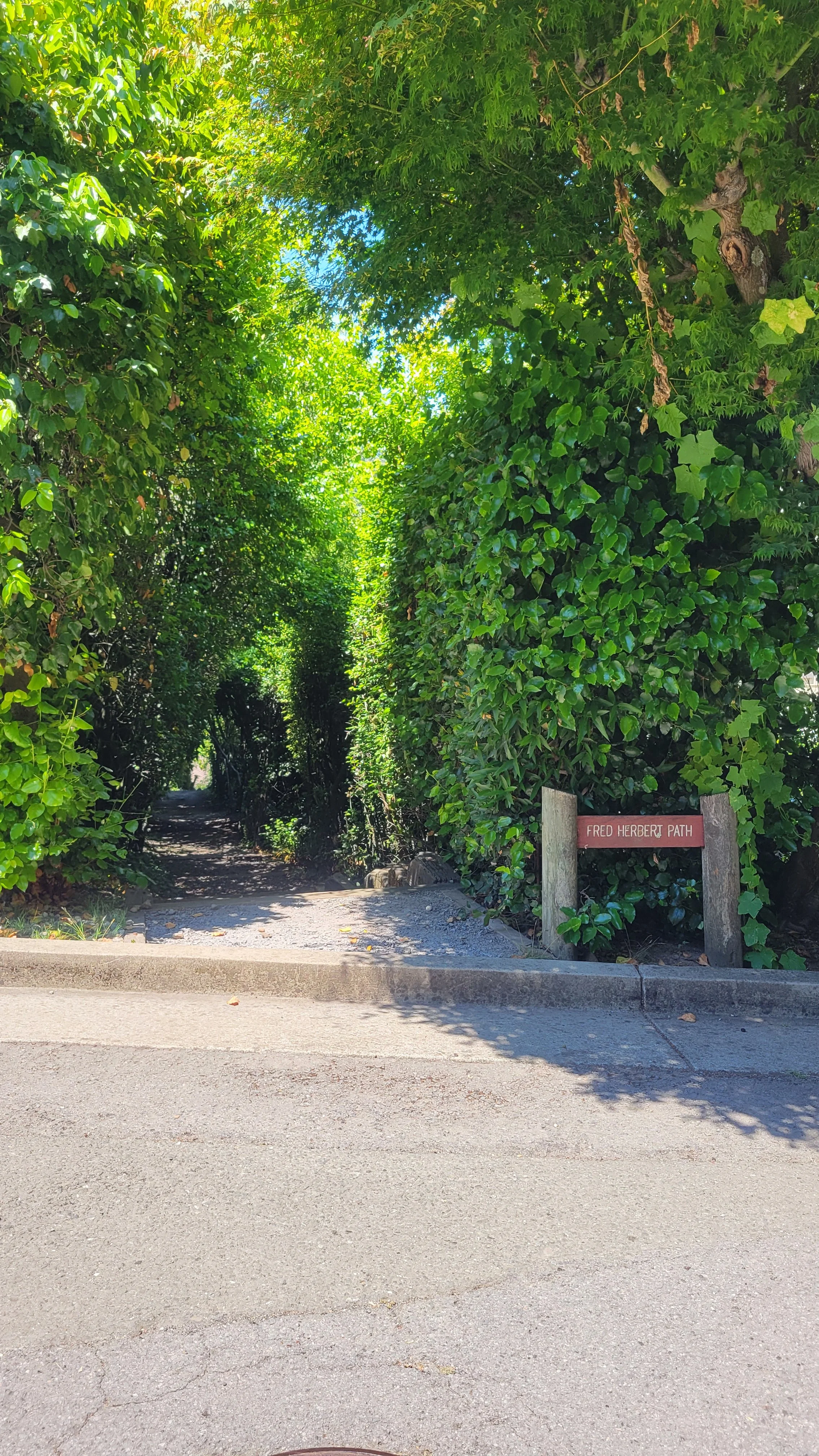 Fred Herbert Path Middle 1.jpg