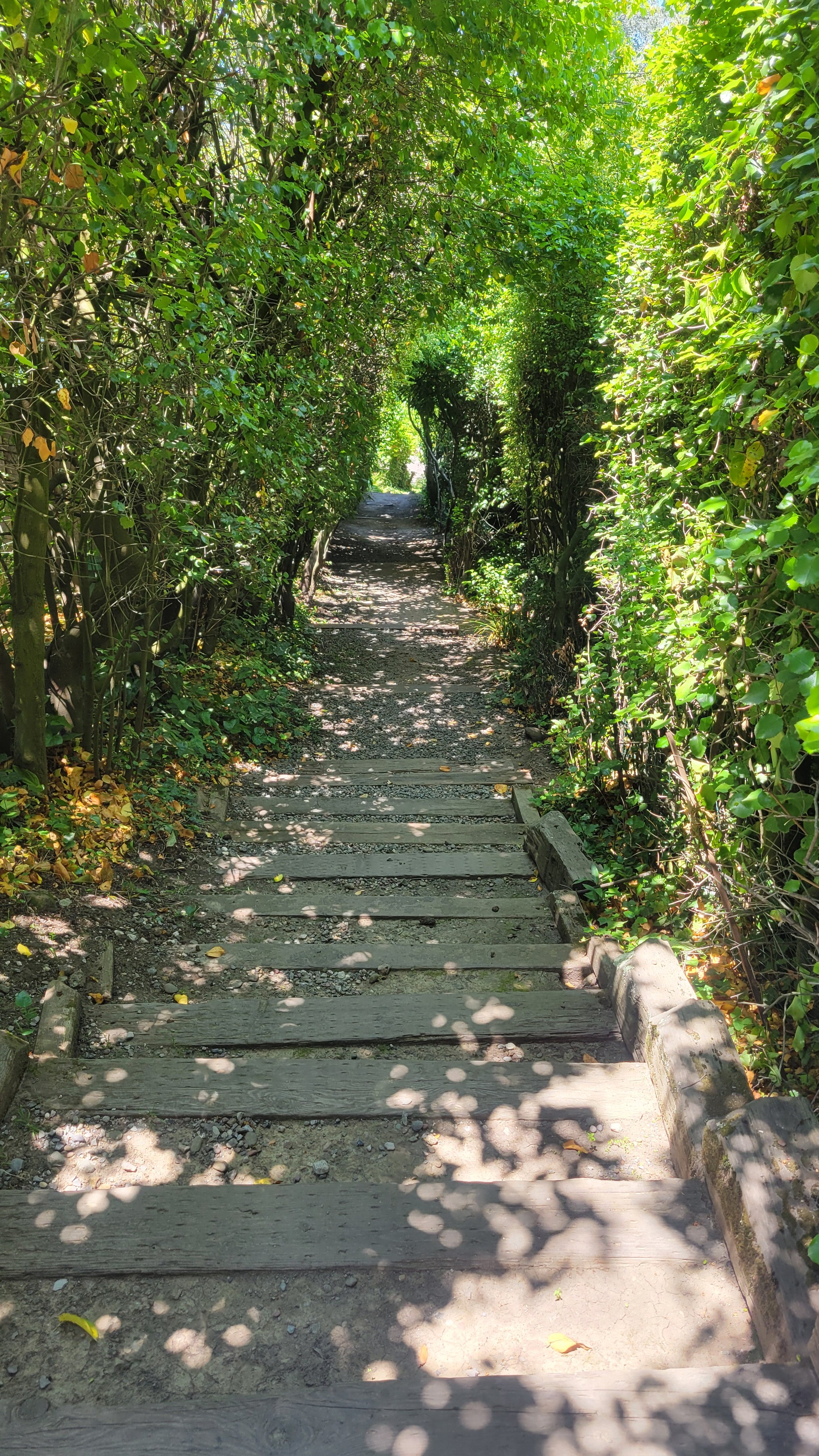 Fred Herbert Path Middle 2.jpg